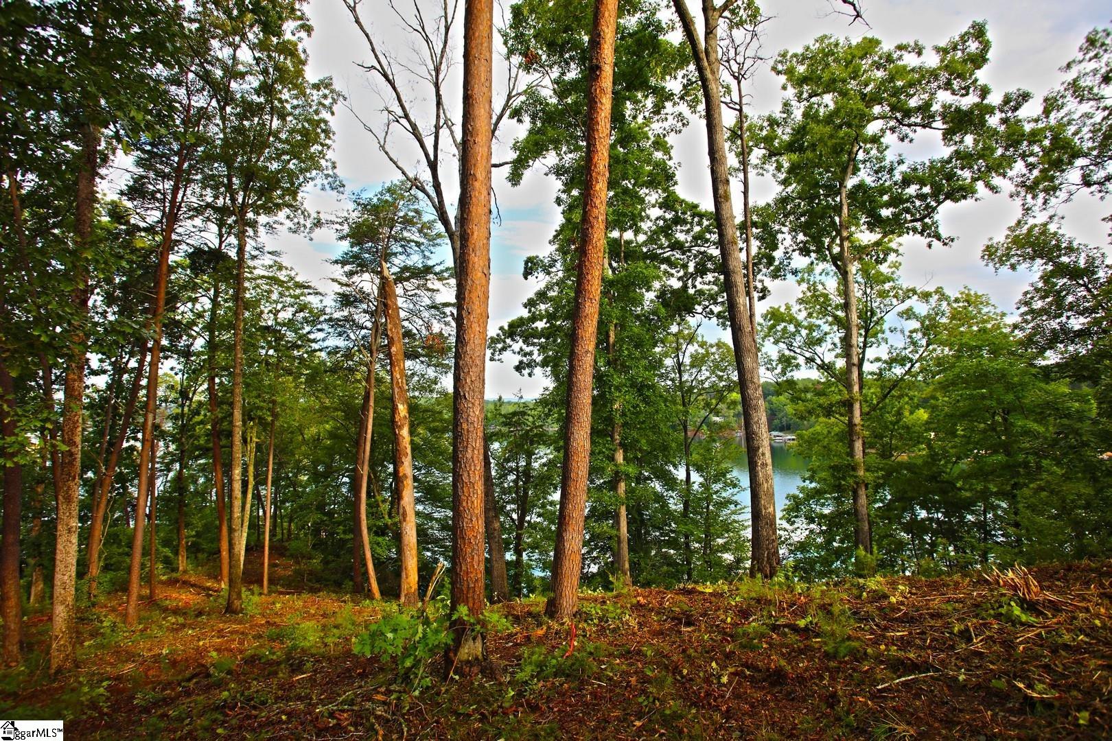 223 Squirrel Point Property Photo 31