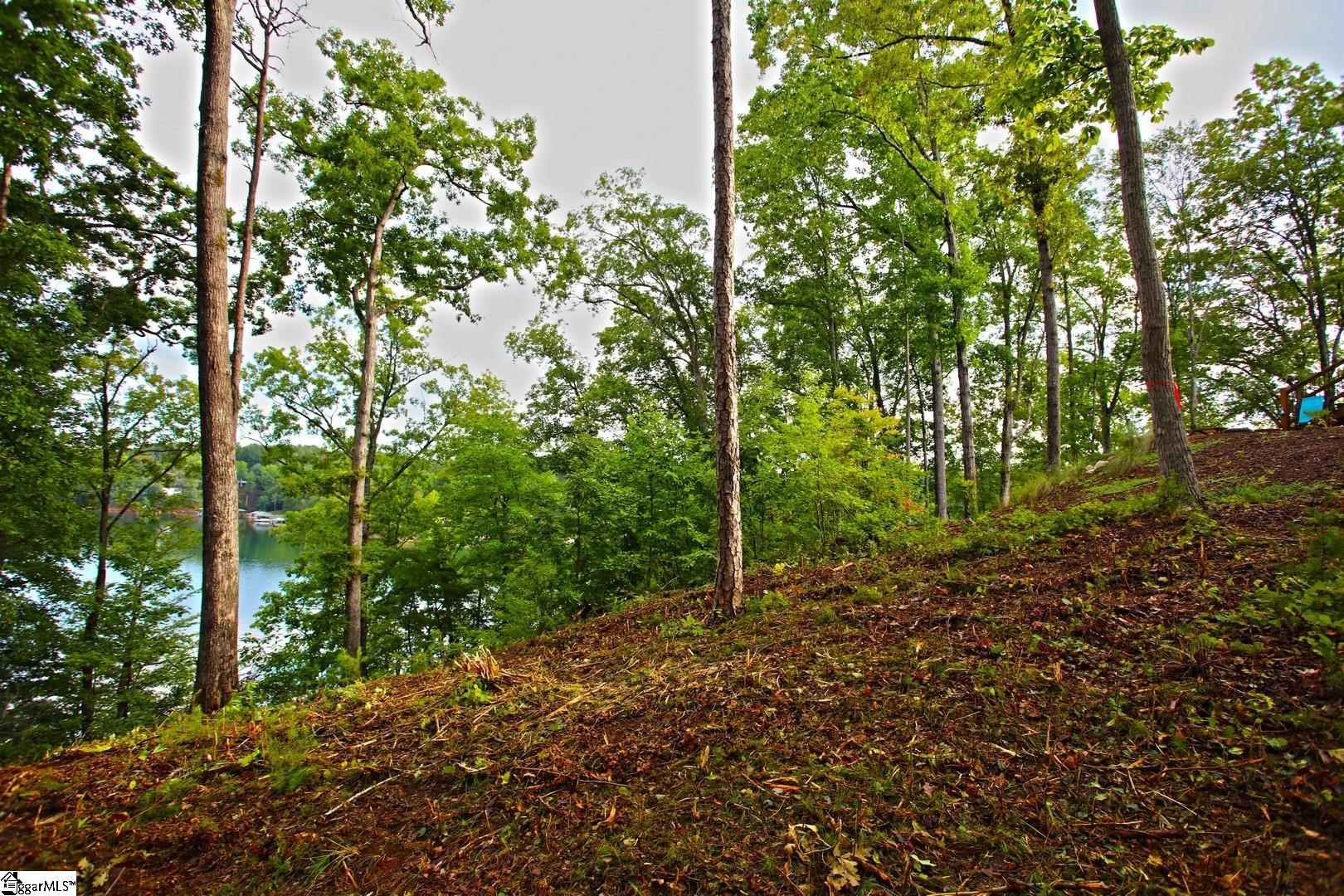 223 Squirrel Point Property Photo 32
