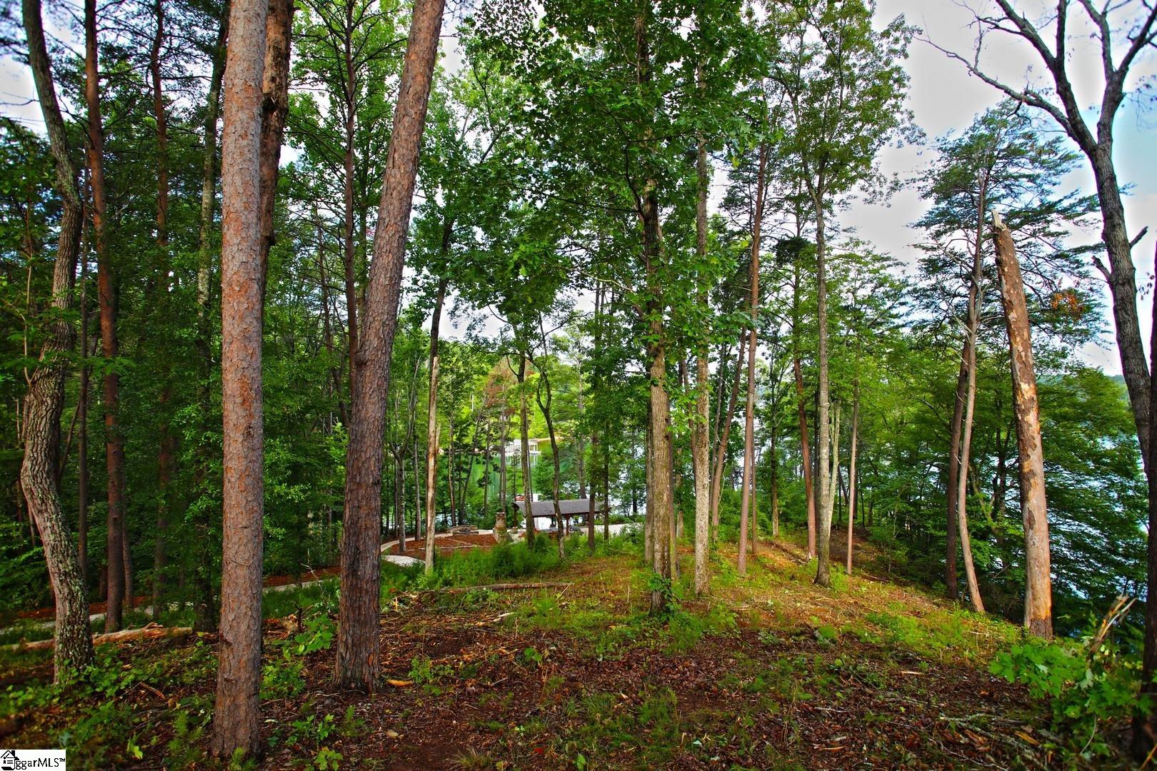 223 Squirrel Point Property Photo 34