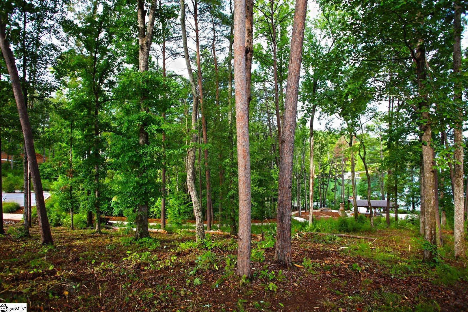 223 Squirrel Point Property Photo 35