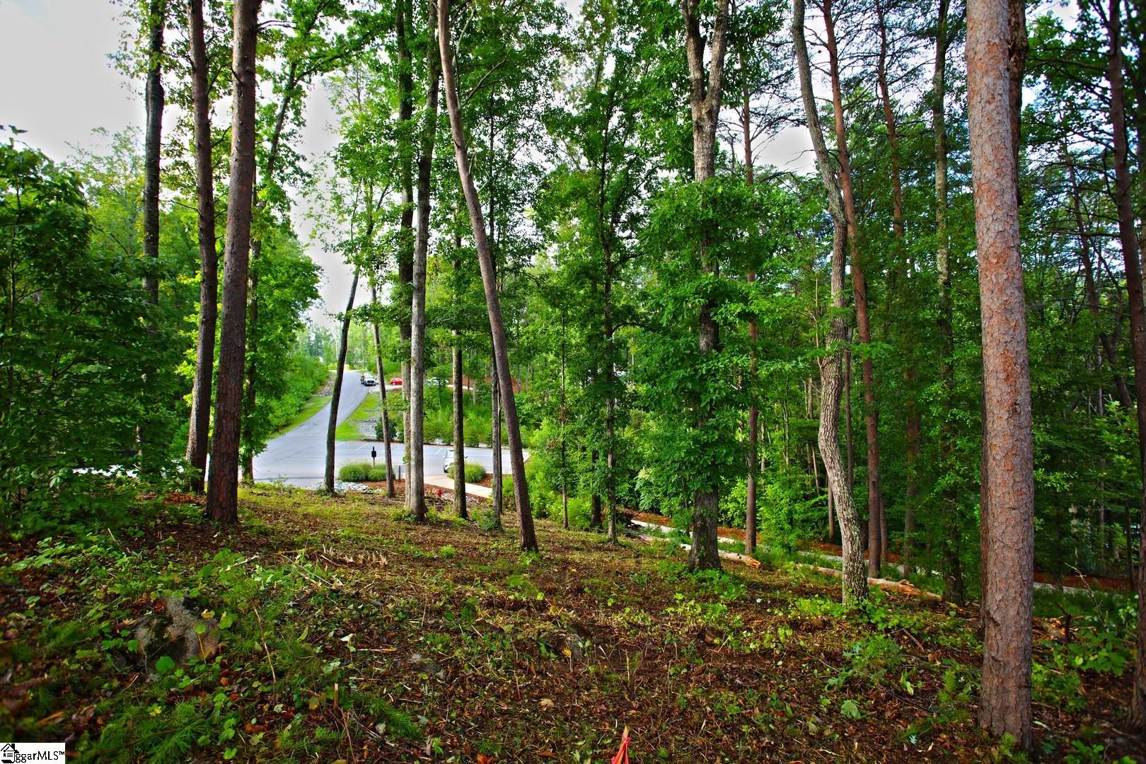 223 Squirrel Point Property Photo 36