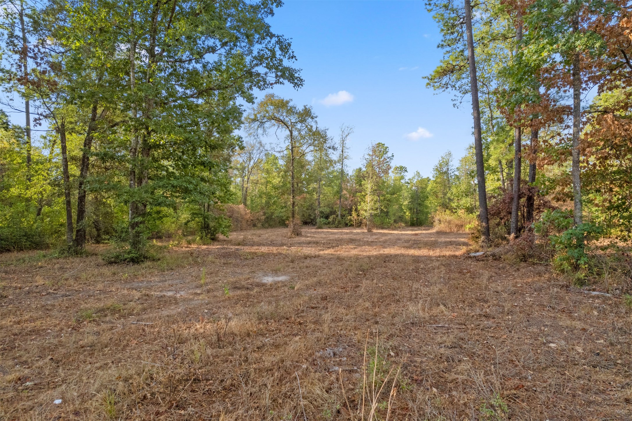 Tbd Hwy 150 Property Photo 5