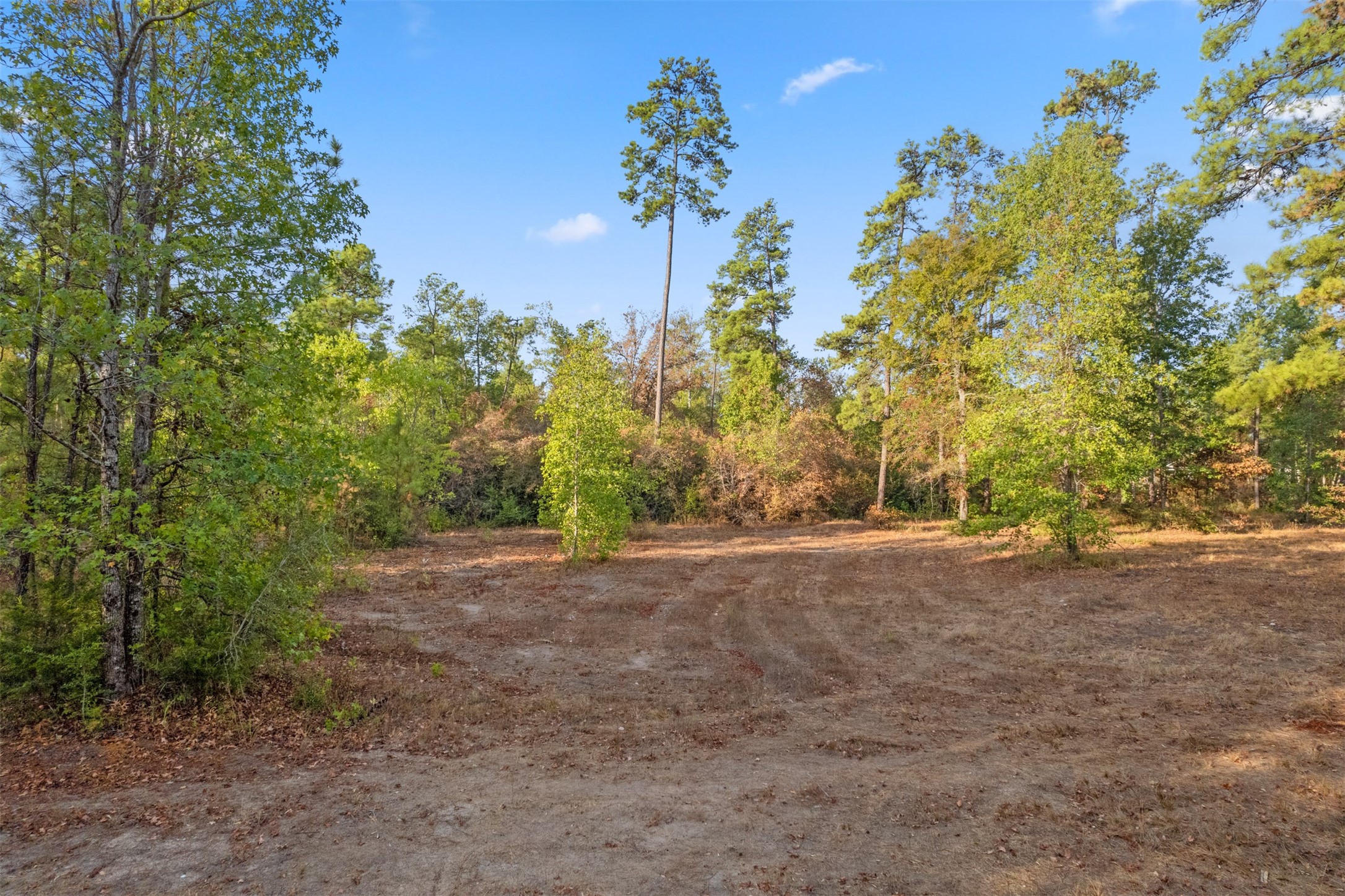 Tbd Hwy 150 Property Photo 6