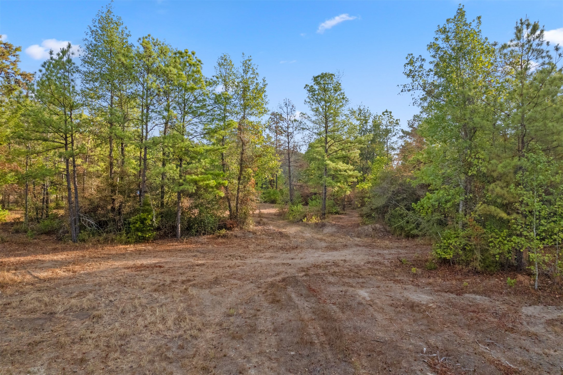 Tbd Hwy 150 Property Photo 7