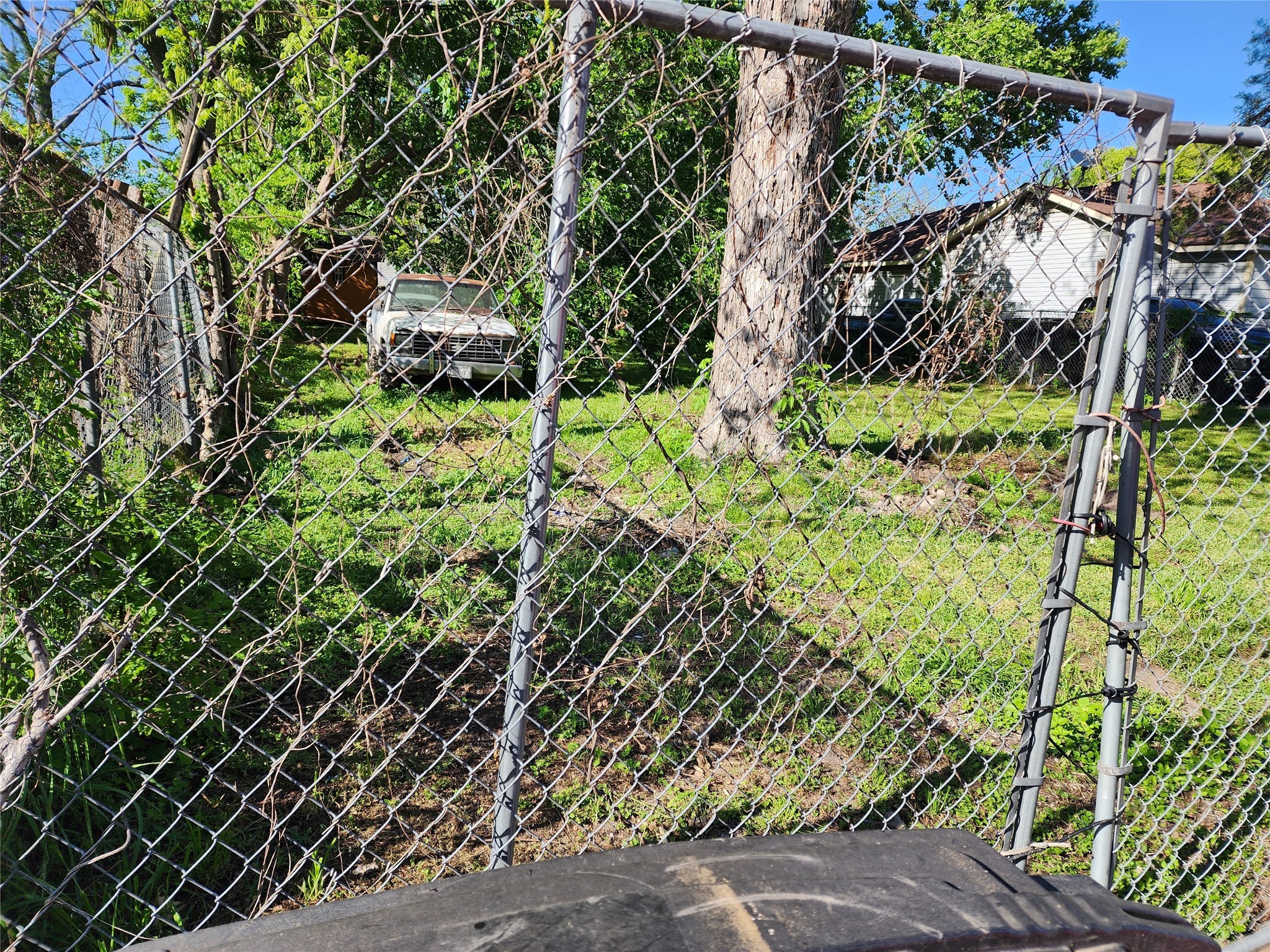 219 Heaney Drive Property Photo 3