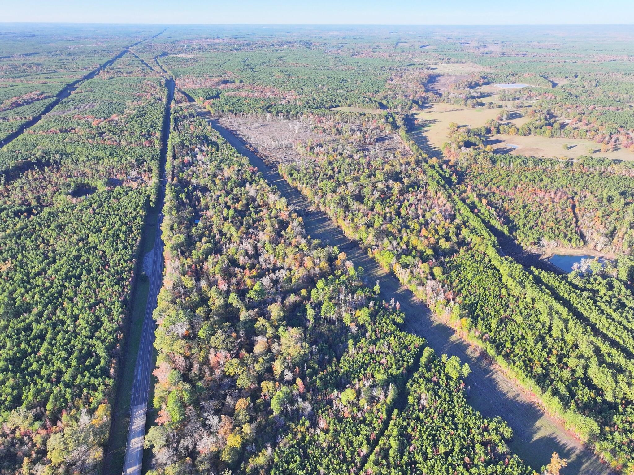 0000 Highway 96 N Highway Property Photo 4