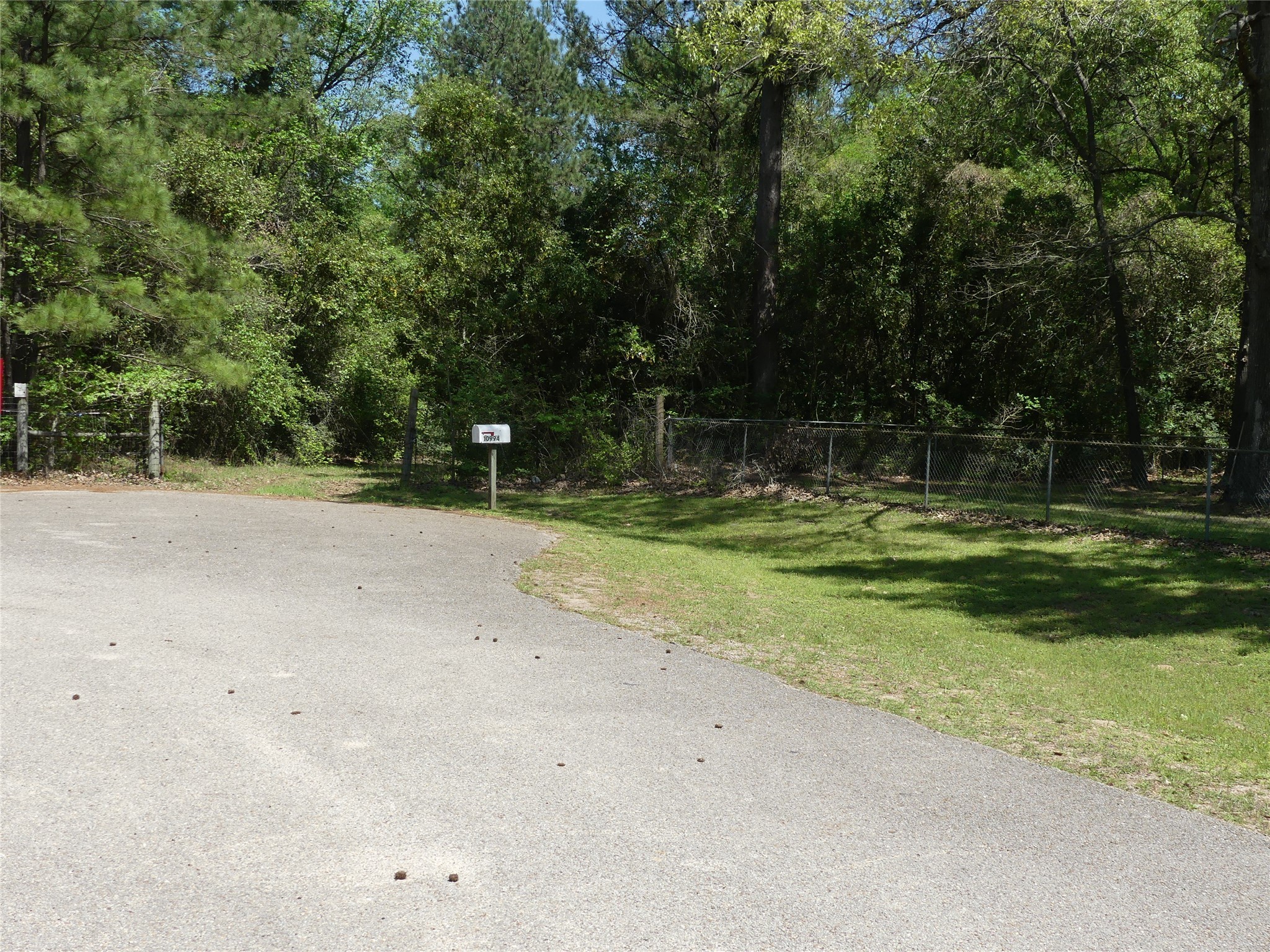 10994 Kittys Lane Property Photo 3
