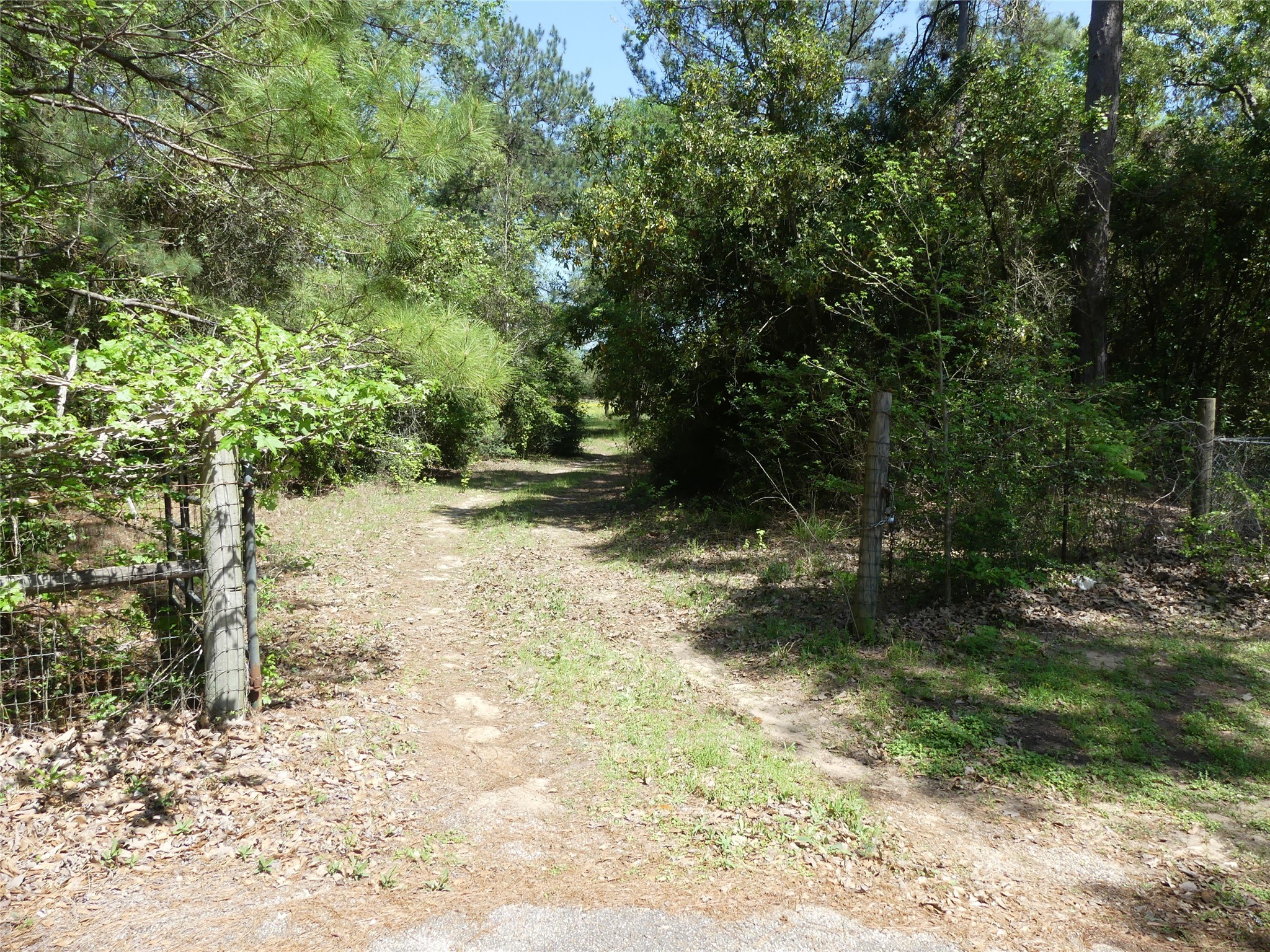 10994 Kittys Lane Property Photo 6