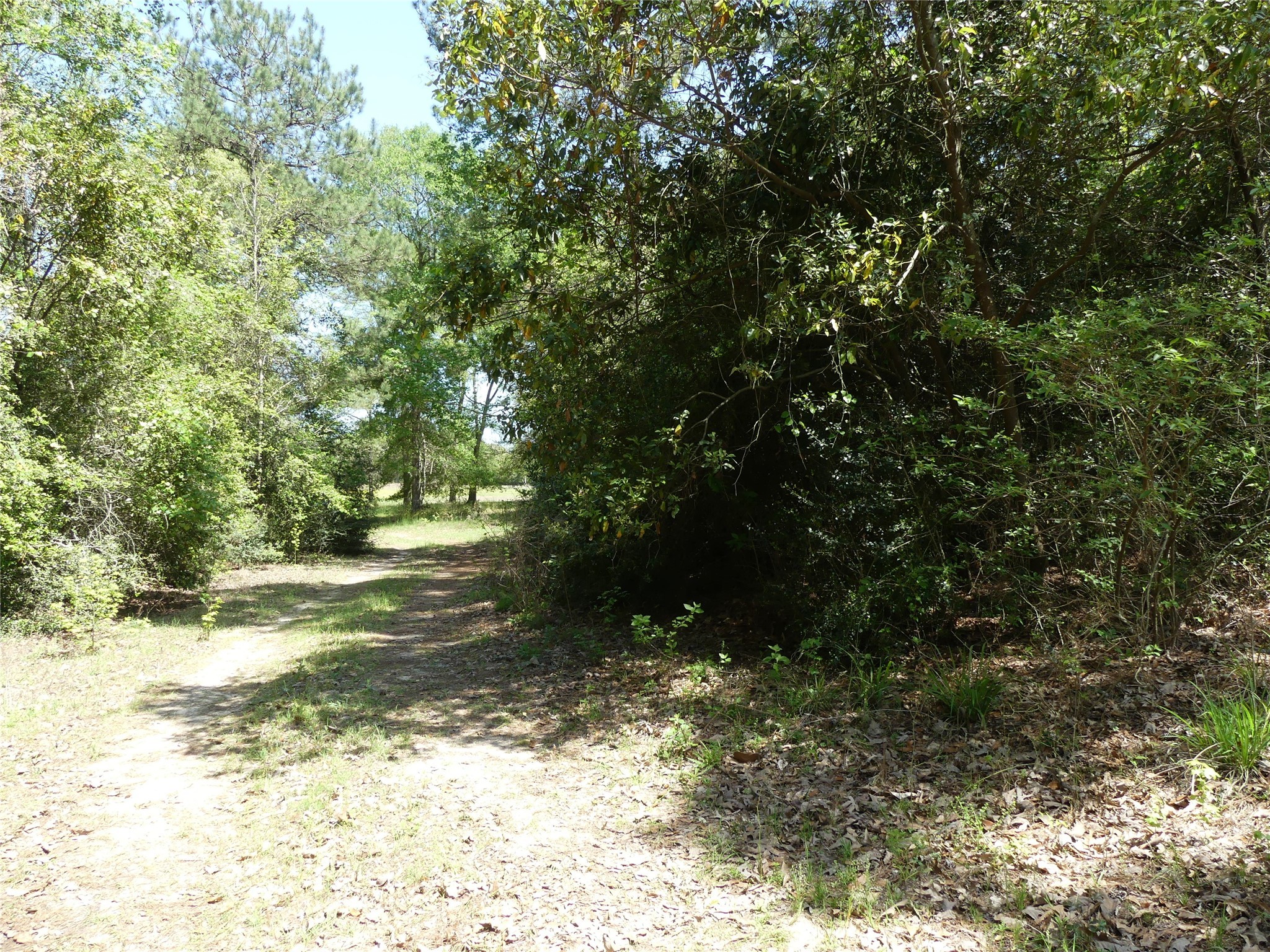 10994 Kittys Lane Property Photo 7
