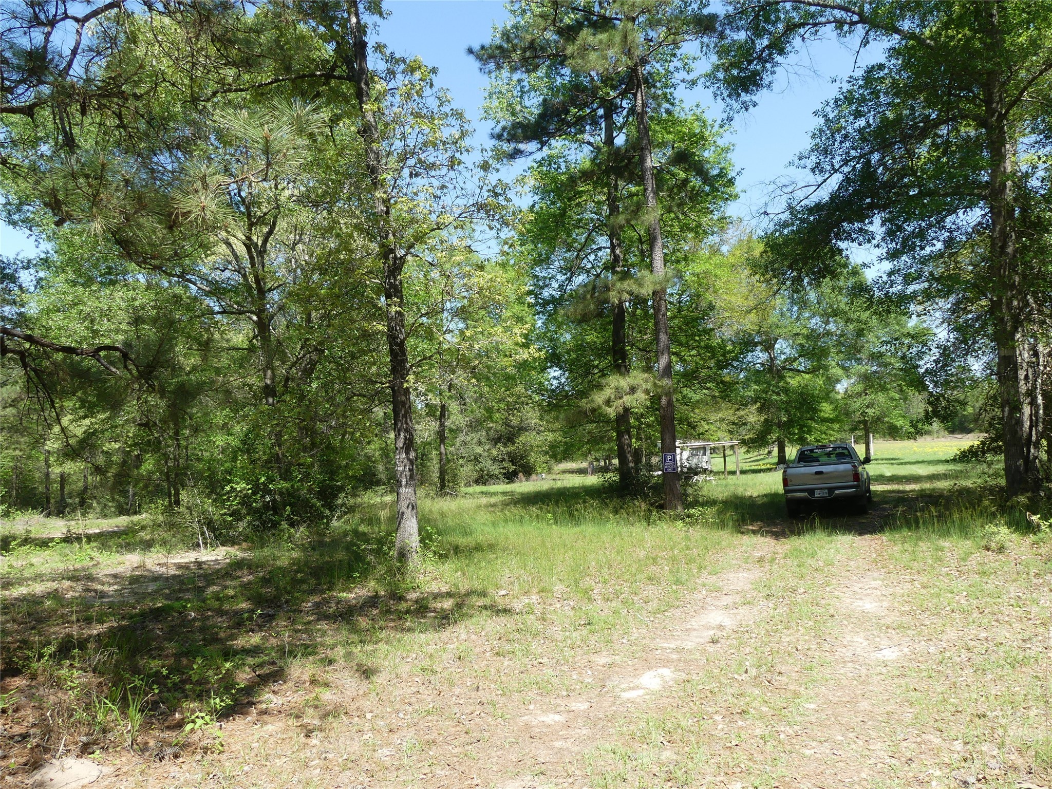 10994 Kittys Lane Property Photo 8