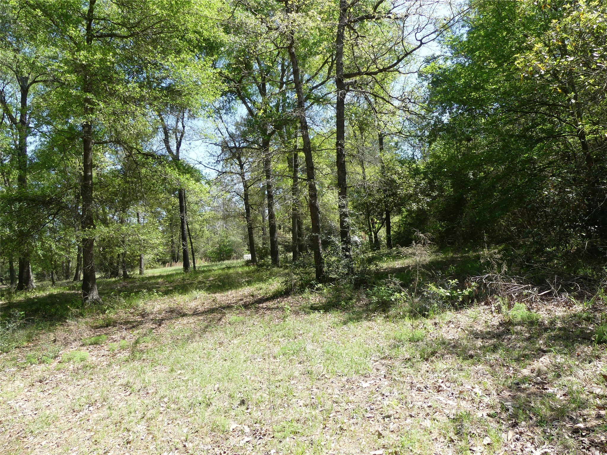 10994 Kittys Lane Property Photo 9