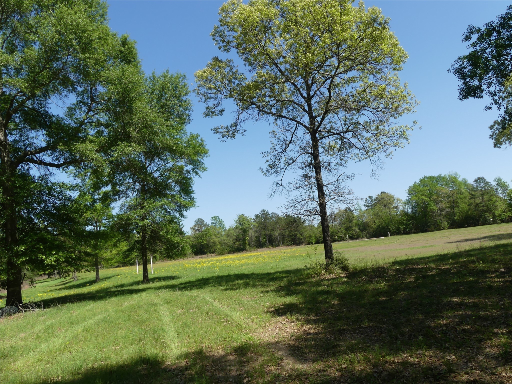 10994 Kittys Lane Property Photo 11