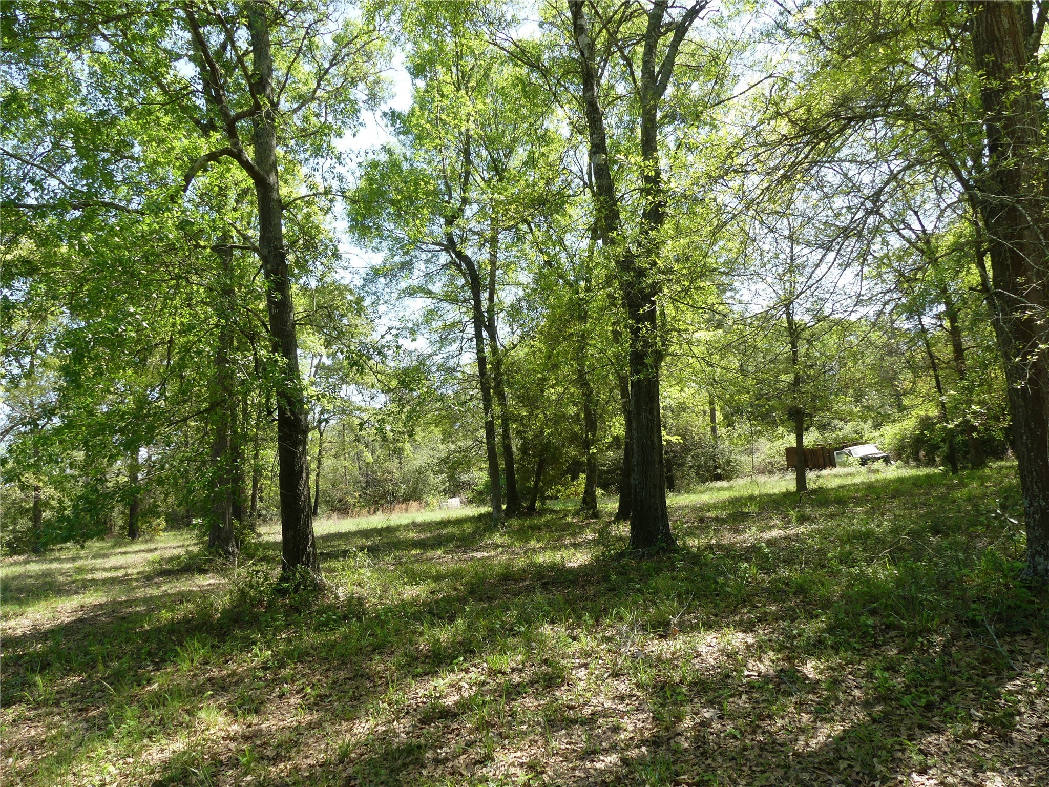 10994 Kittys Lane Property Photo 12