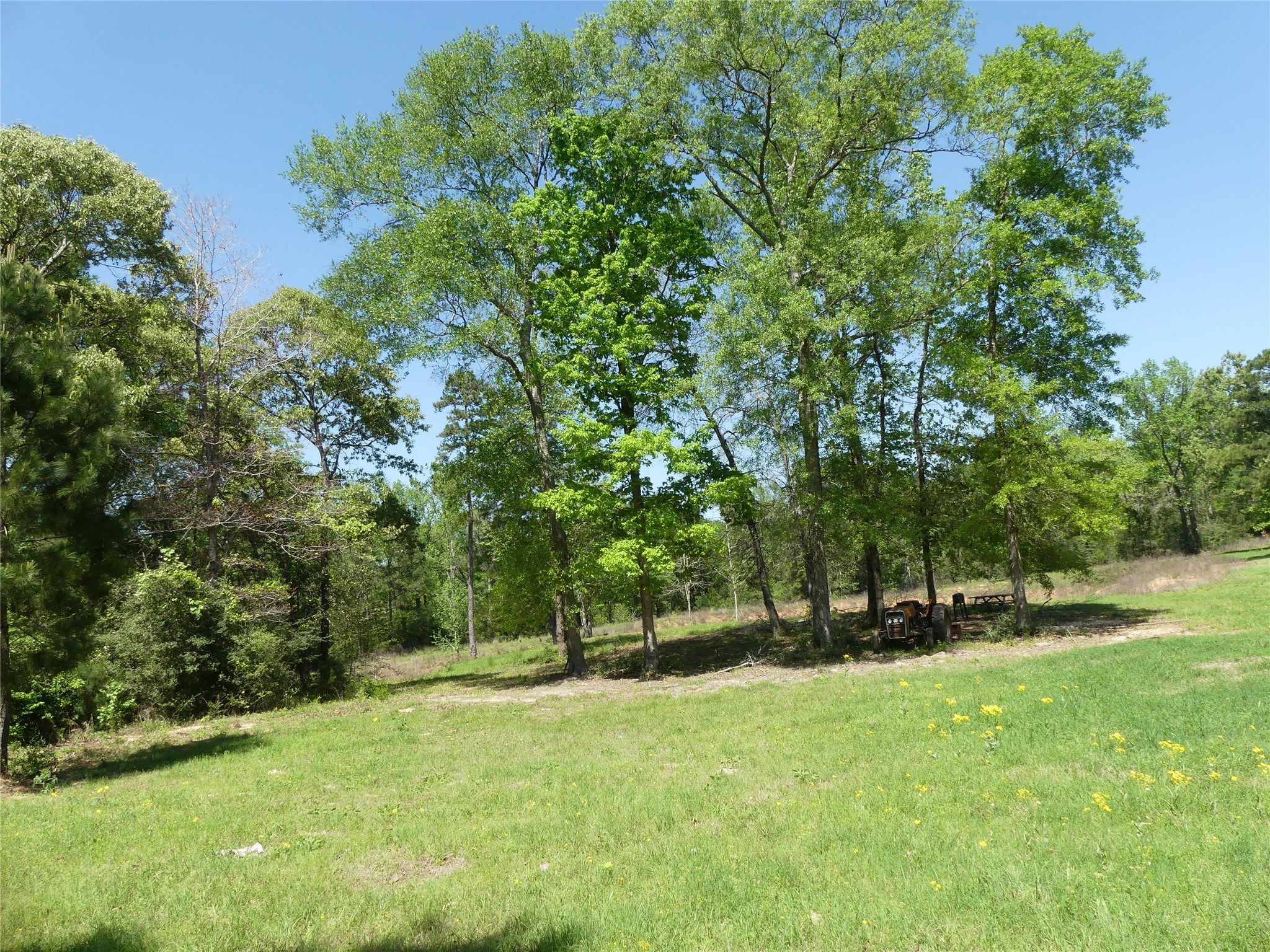 10994 Kittys Lane Property Photo 13