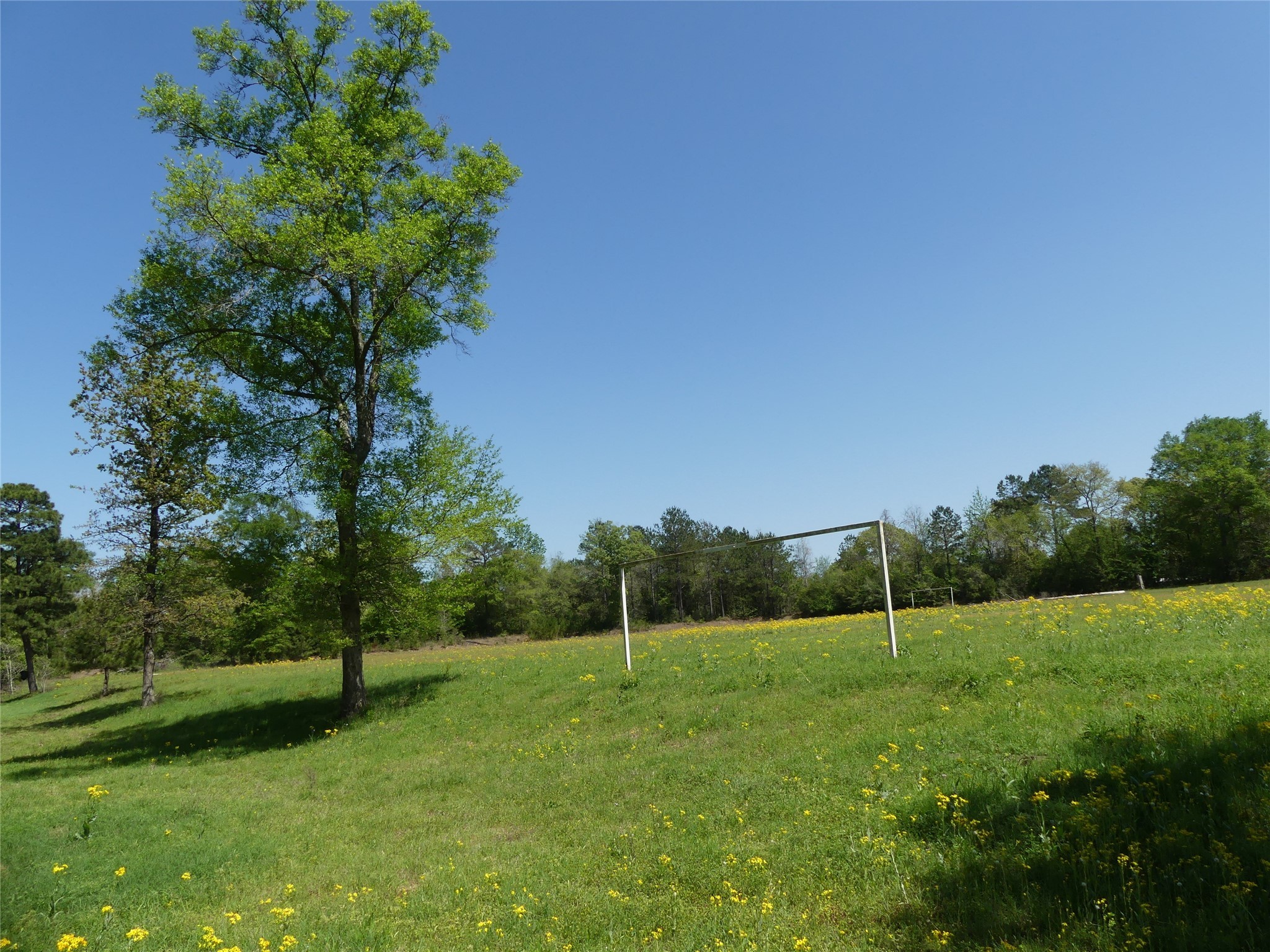 10994 Kittys Lane Property Photo 14