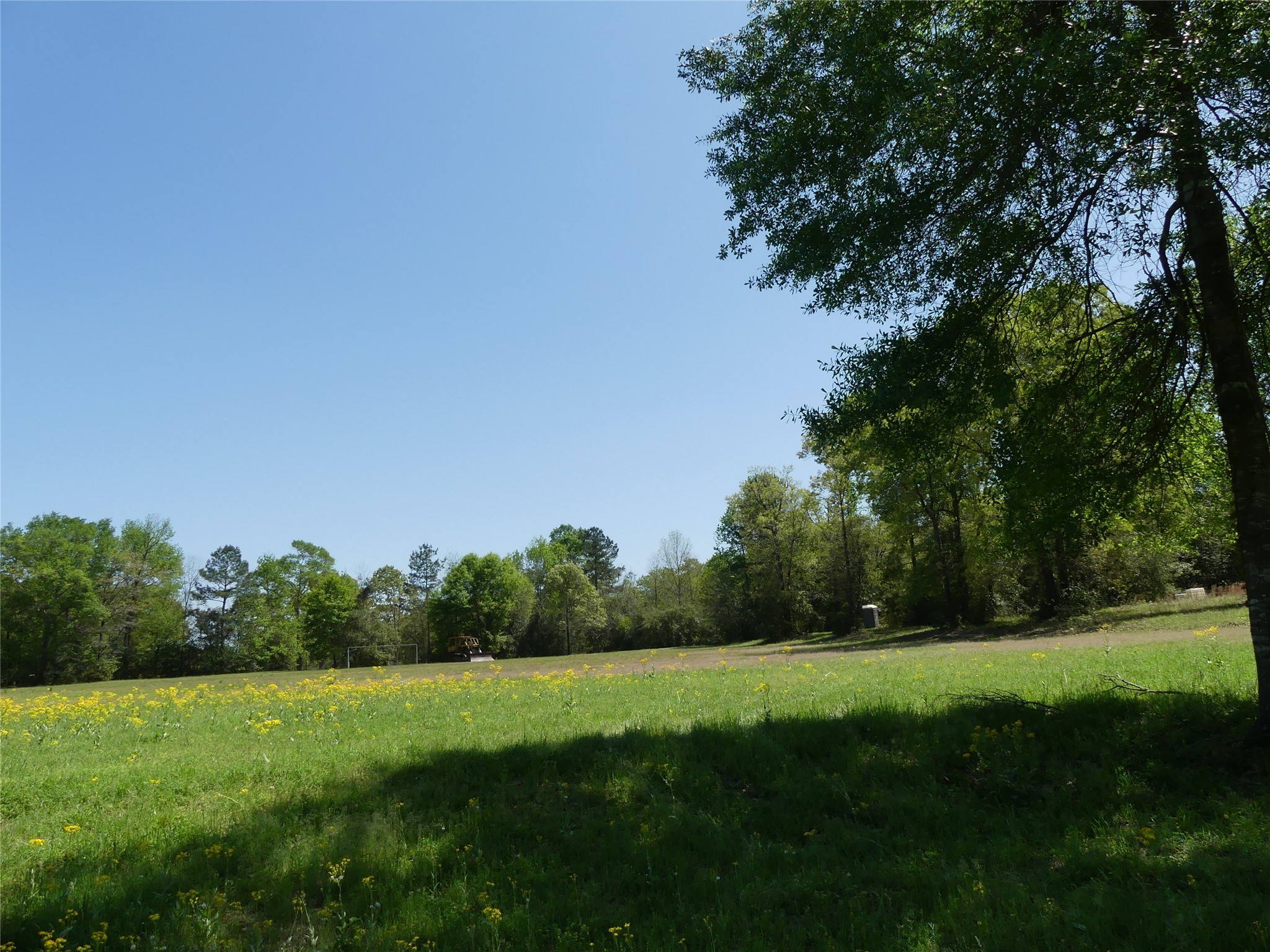 10994 Kittys Lane Property Photo 15
