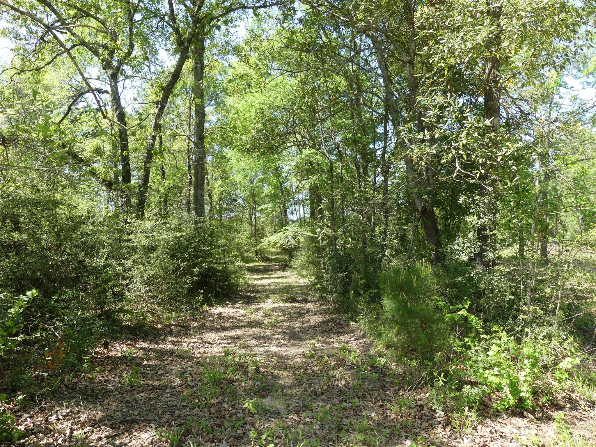 10994 Kittys Lane Property Photo 16