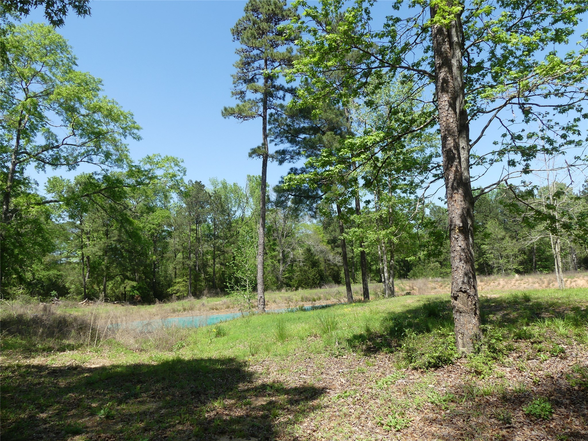 10994 Kittys Lane Property Photo 17