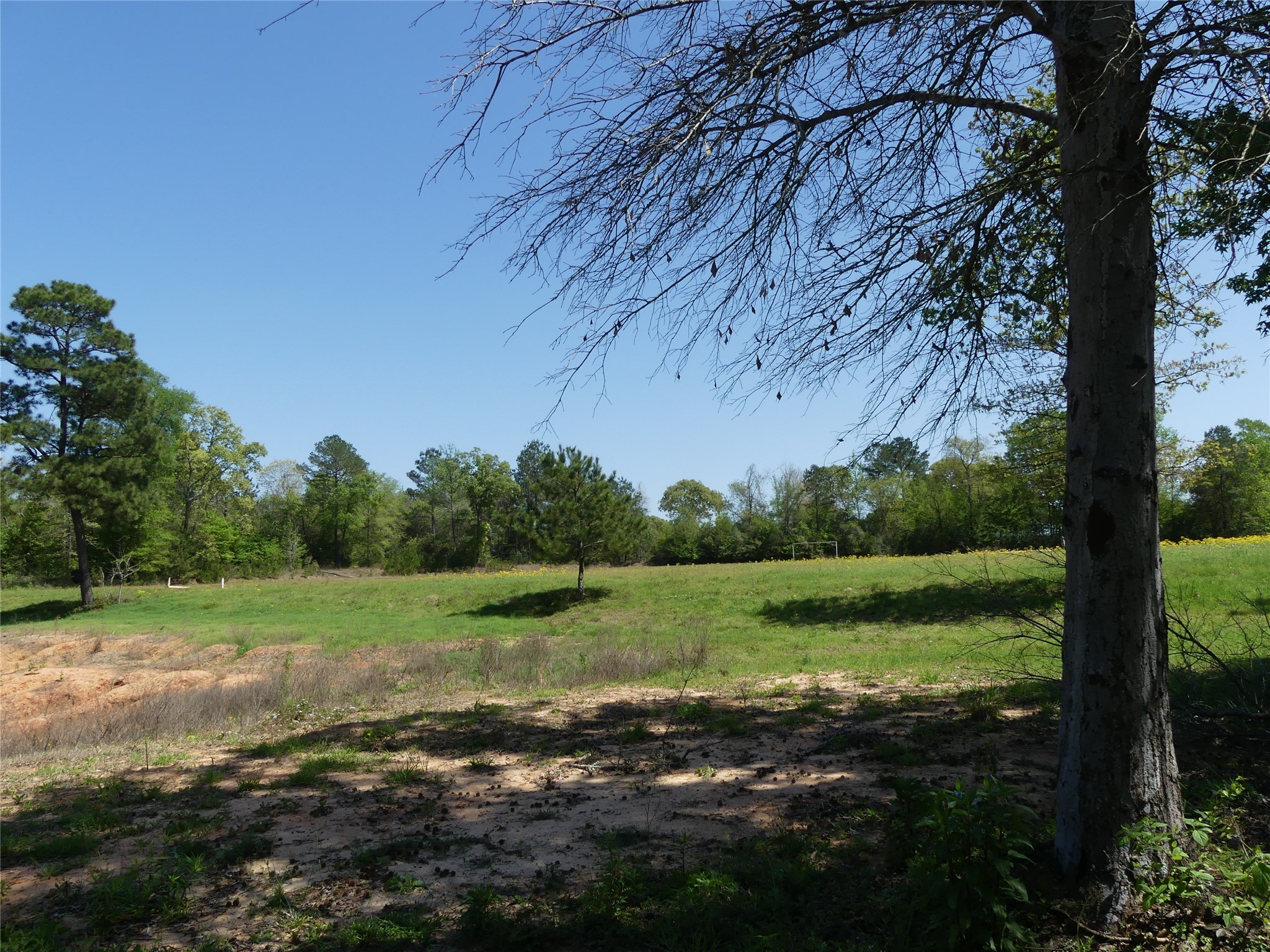 10994 Kittys Lane Property Photo 18