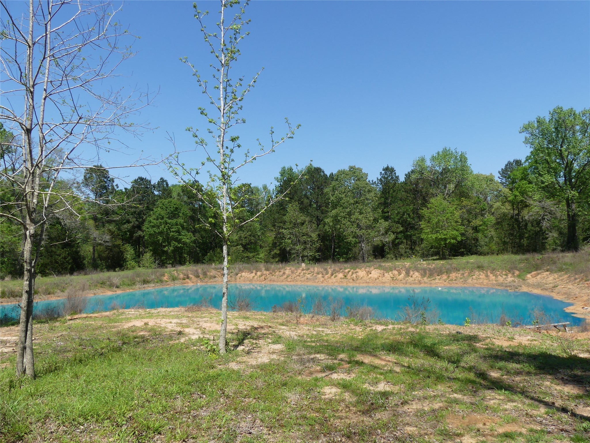 10994 Kittys Lane Property Photo 19