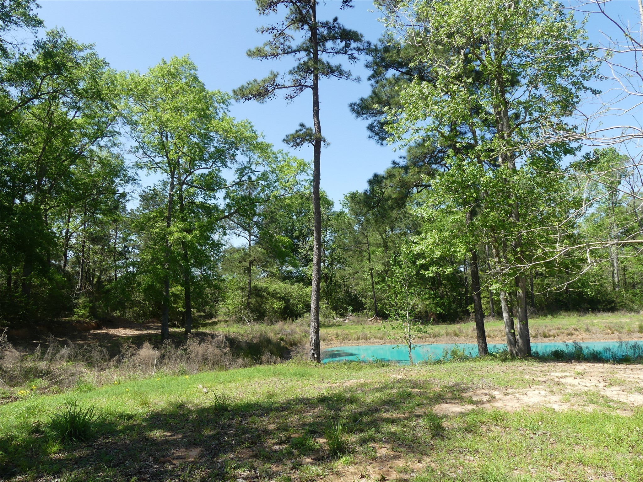 10994 Kittys Lane Property Photo 20