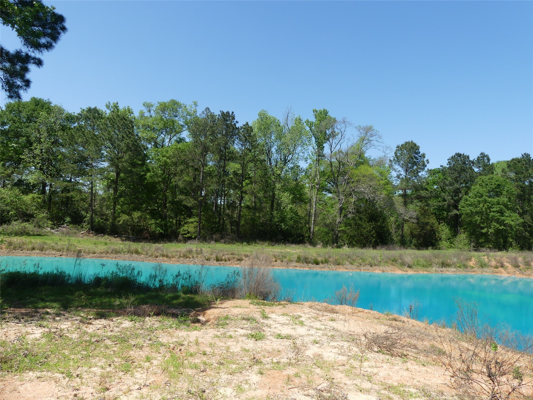 10994 Kittys Lane Property Photo 22