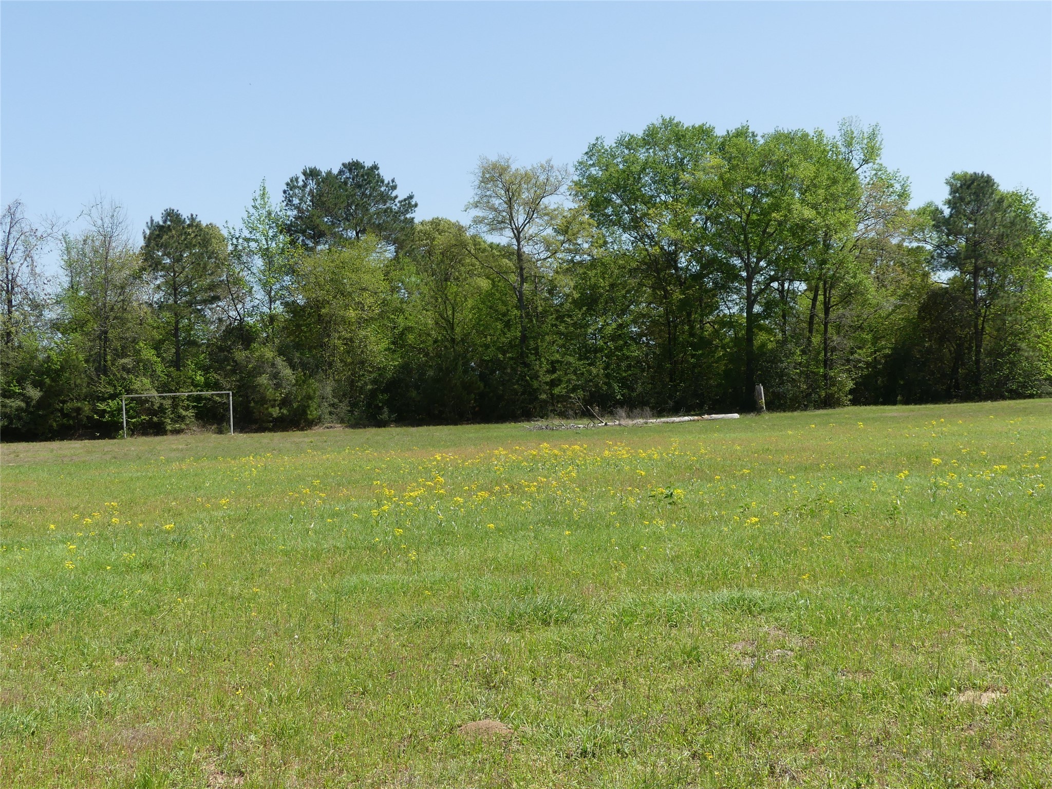 10994 Kittys Lane Property Photo 23