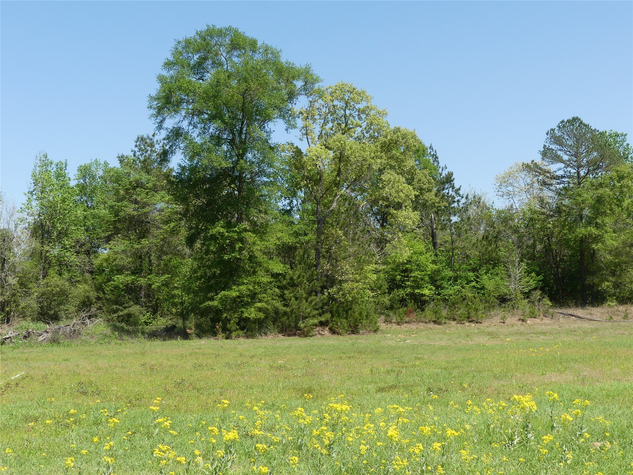 10994 Kittys Lane Property Photo 25