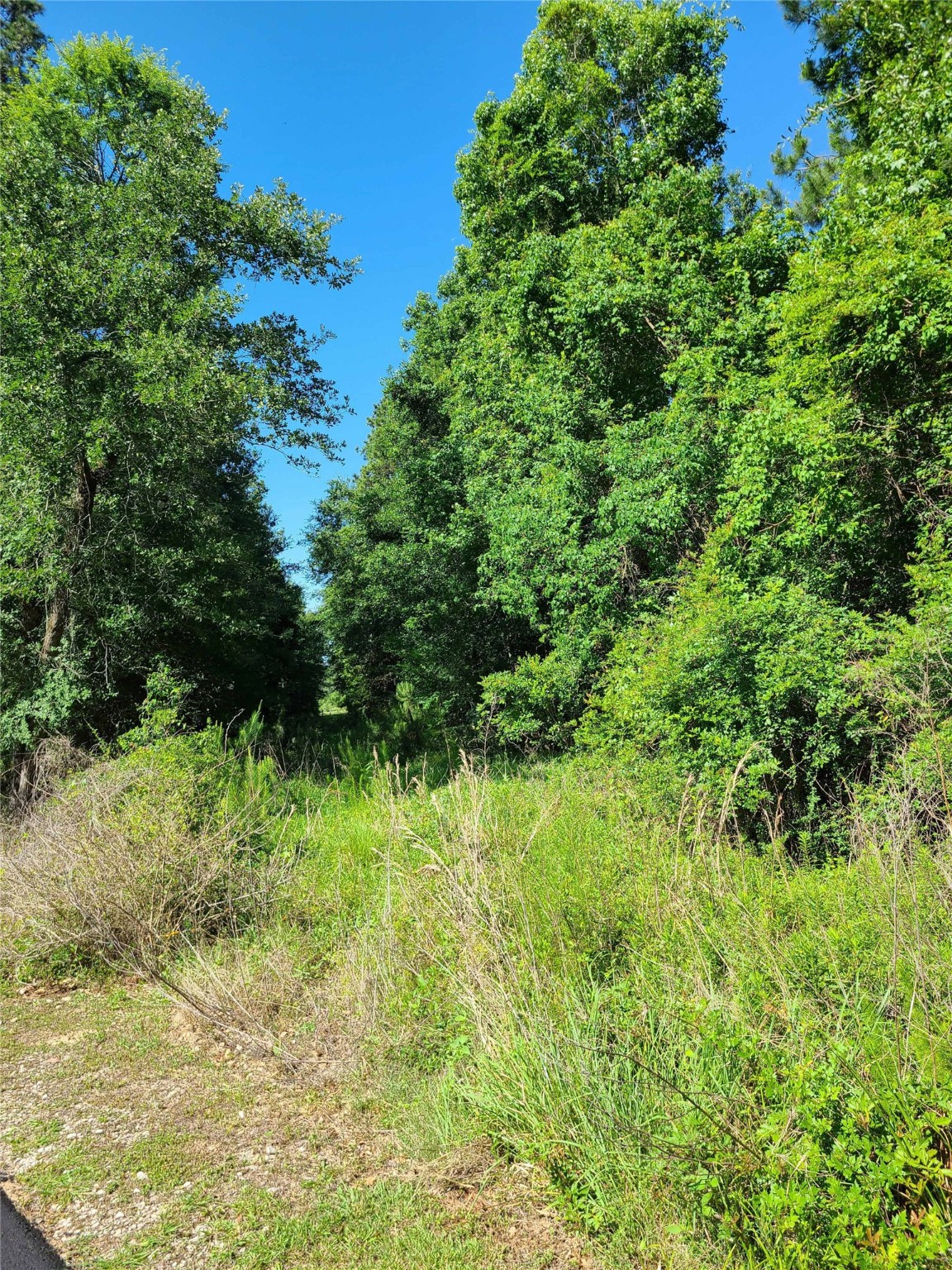 411 Springwood Drive Property Photo 1