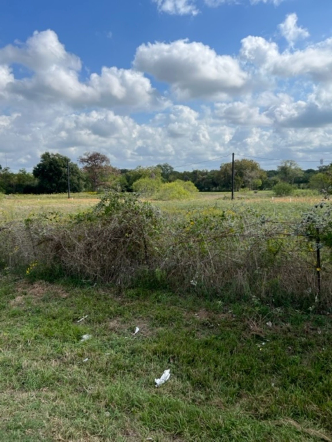 Lot 1 21st Street Property Photo 4