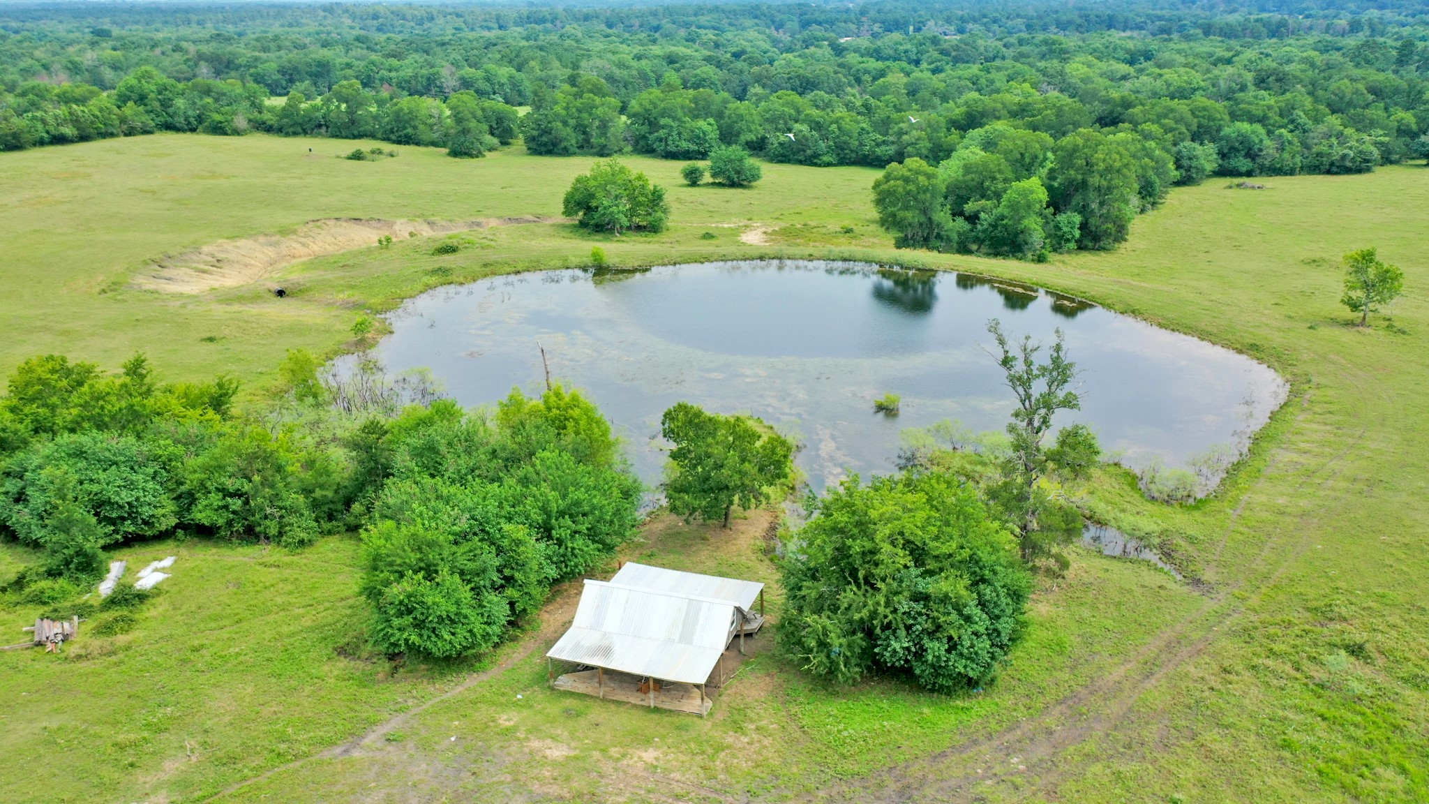 8557 County Road 313 Property Photo 1