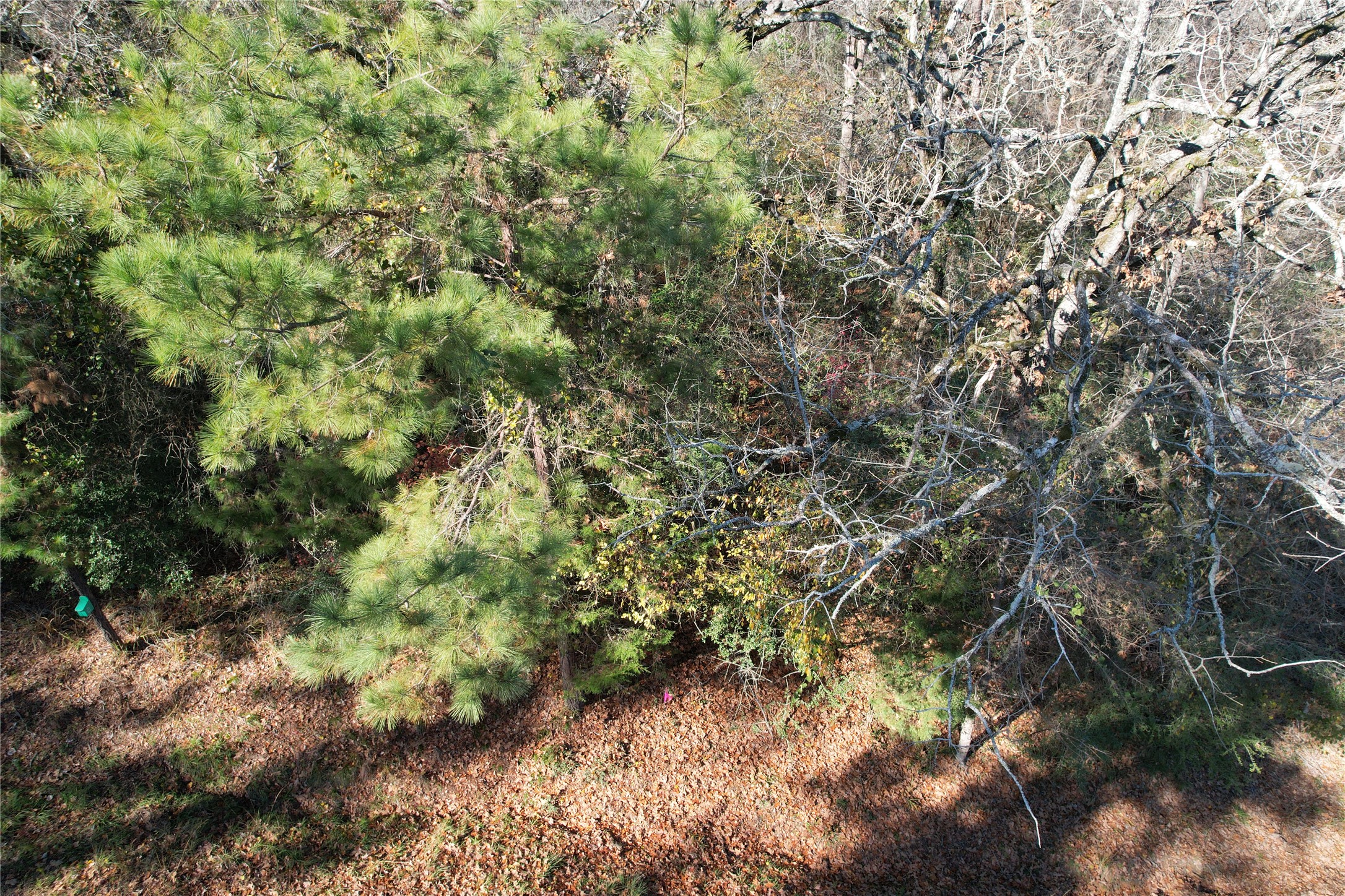 00 Forest Road Property Photo 8