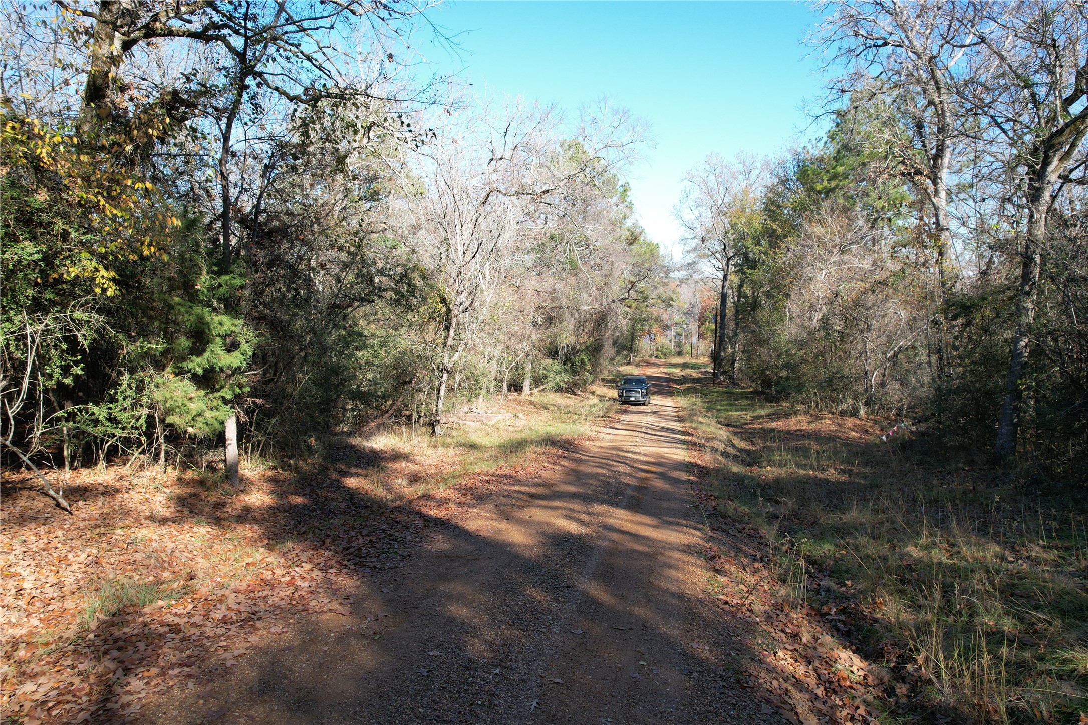 00 Forest Road Property Photo 9