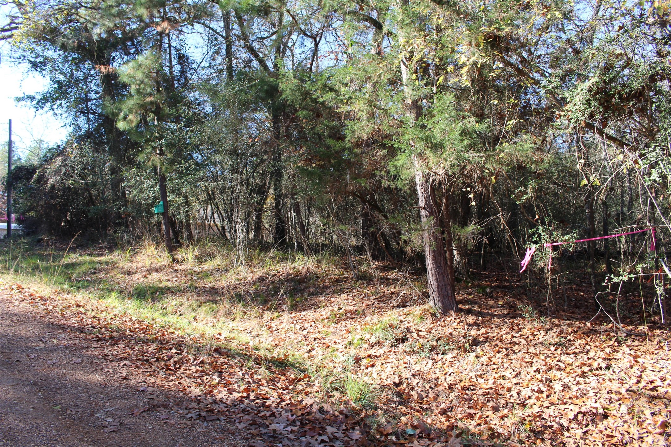 00 Forest Road Property Photo 17