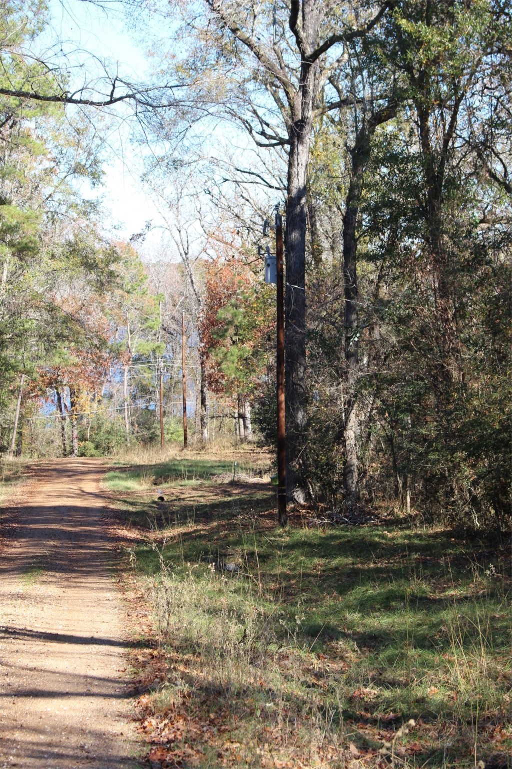 00 Forest Road Property Photo 18