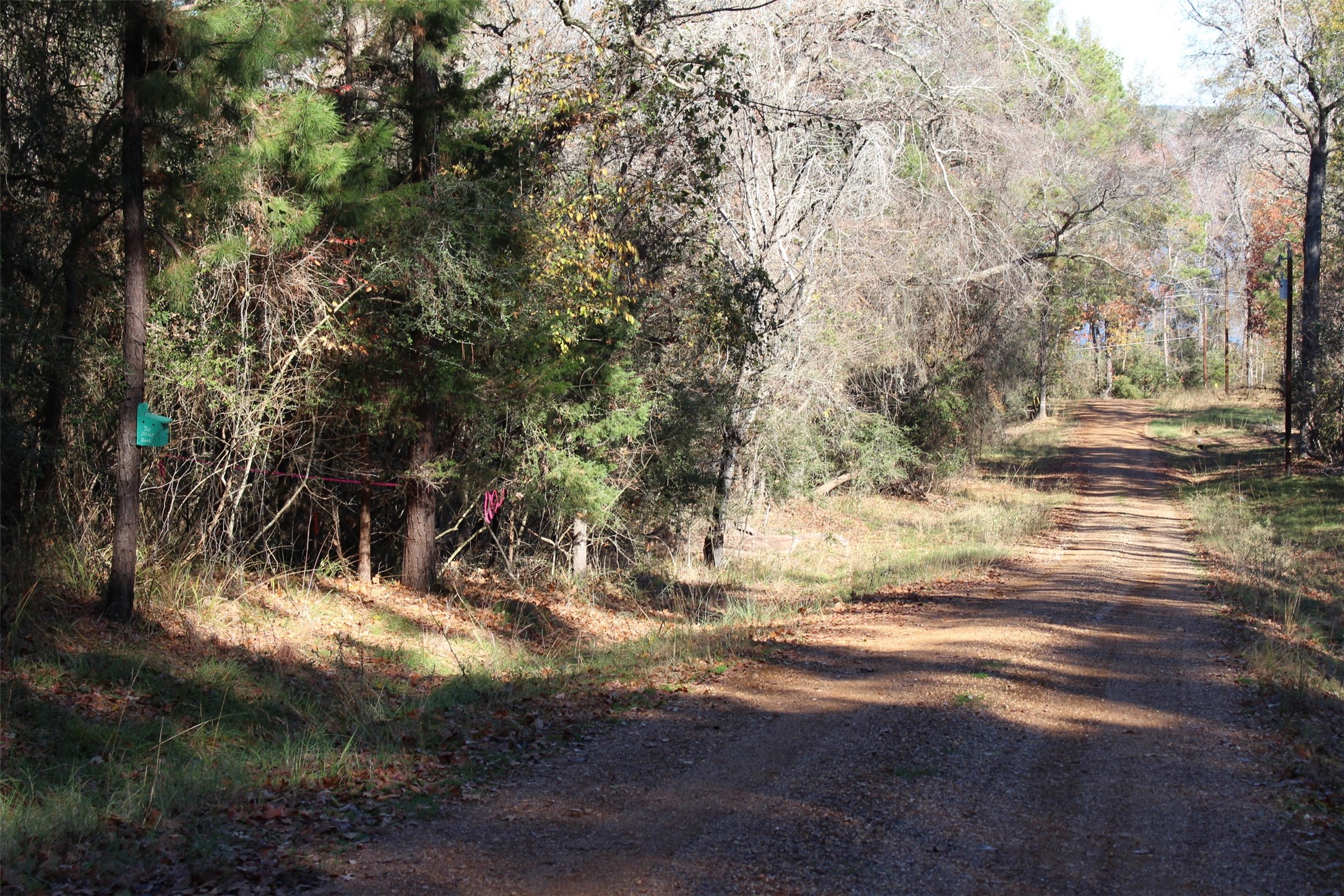 00 Forest Road Property Photo 19