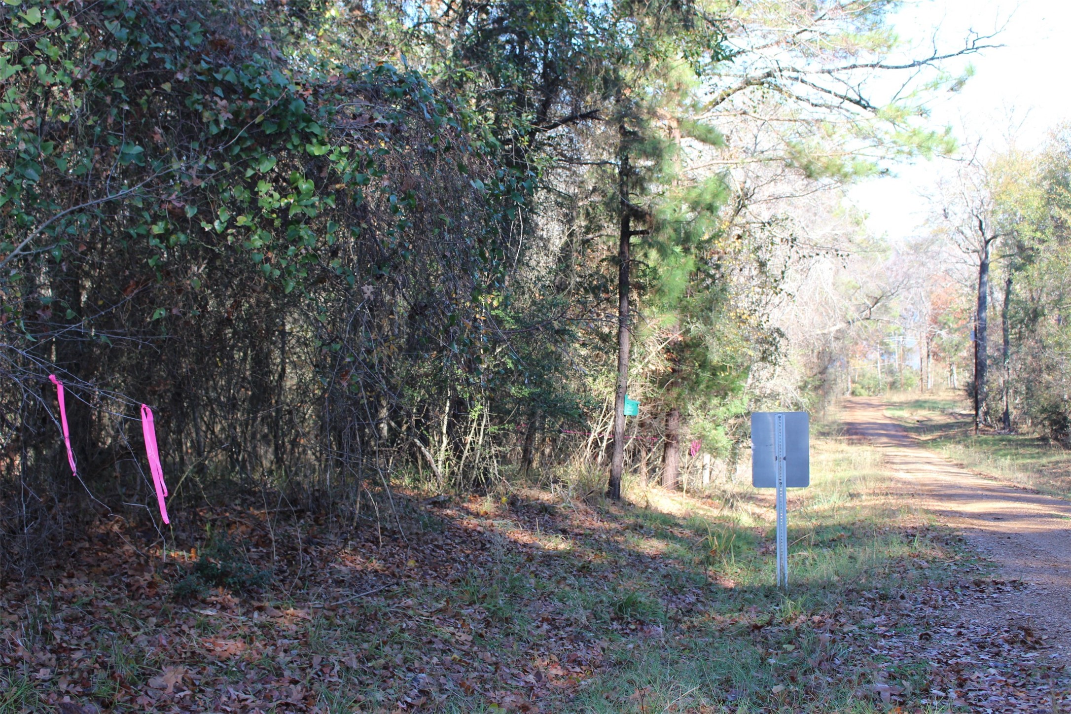 00 Forest Road Property Photo 21