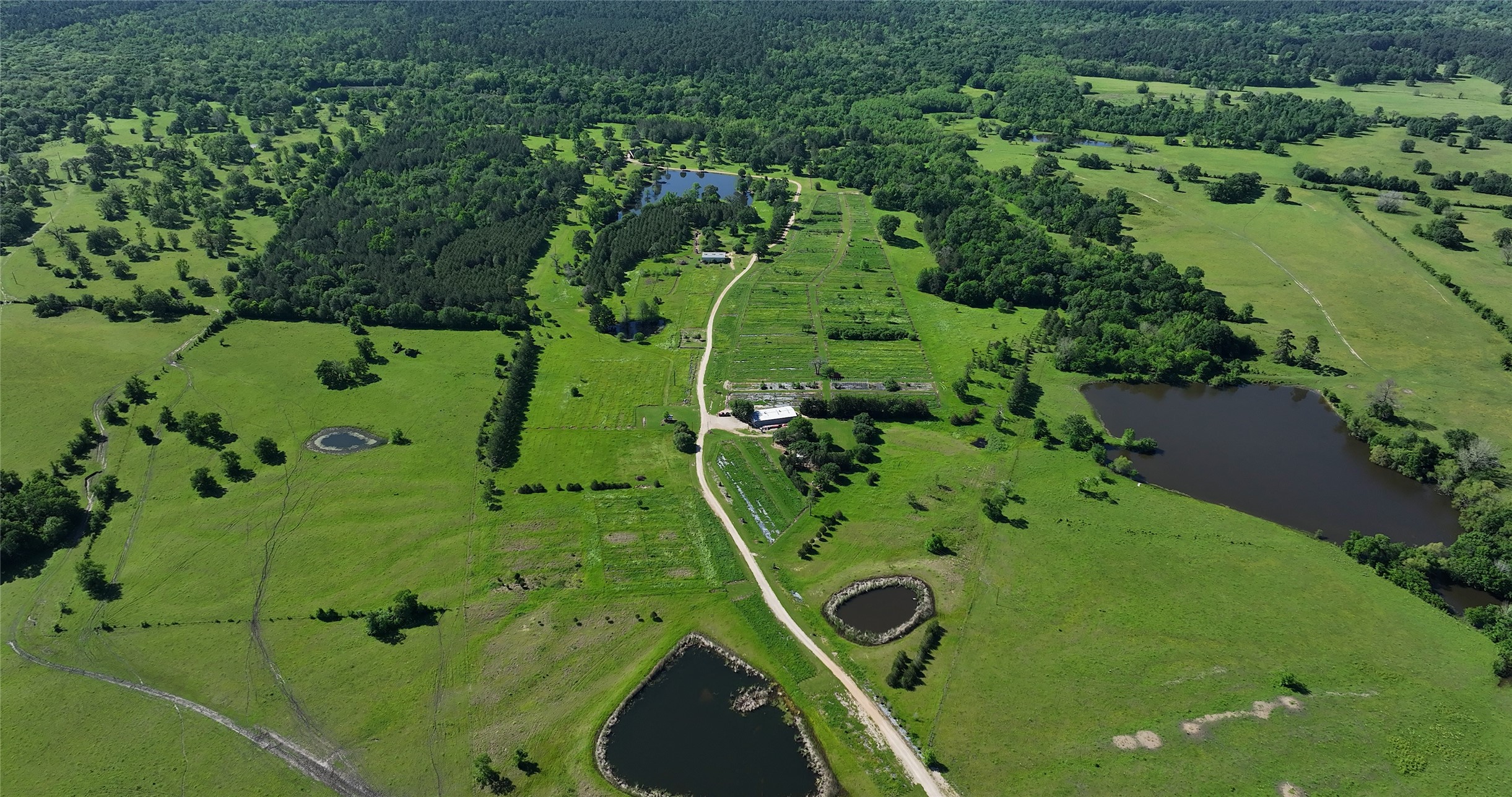 125 Sandy Creek Nursery Road Property Photo 32
