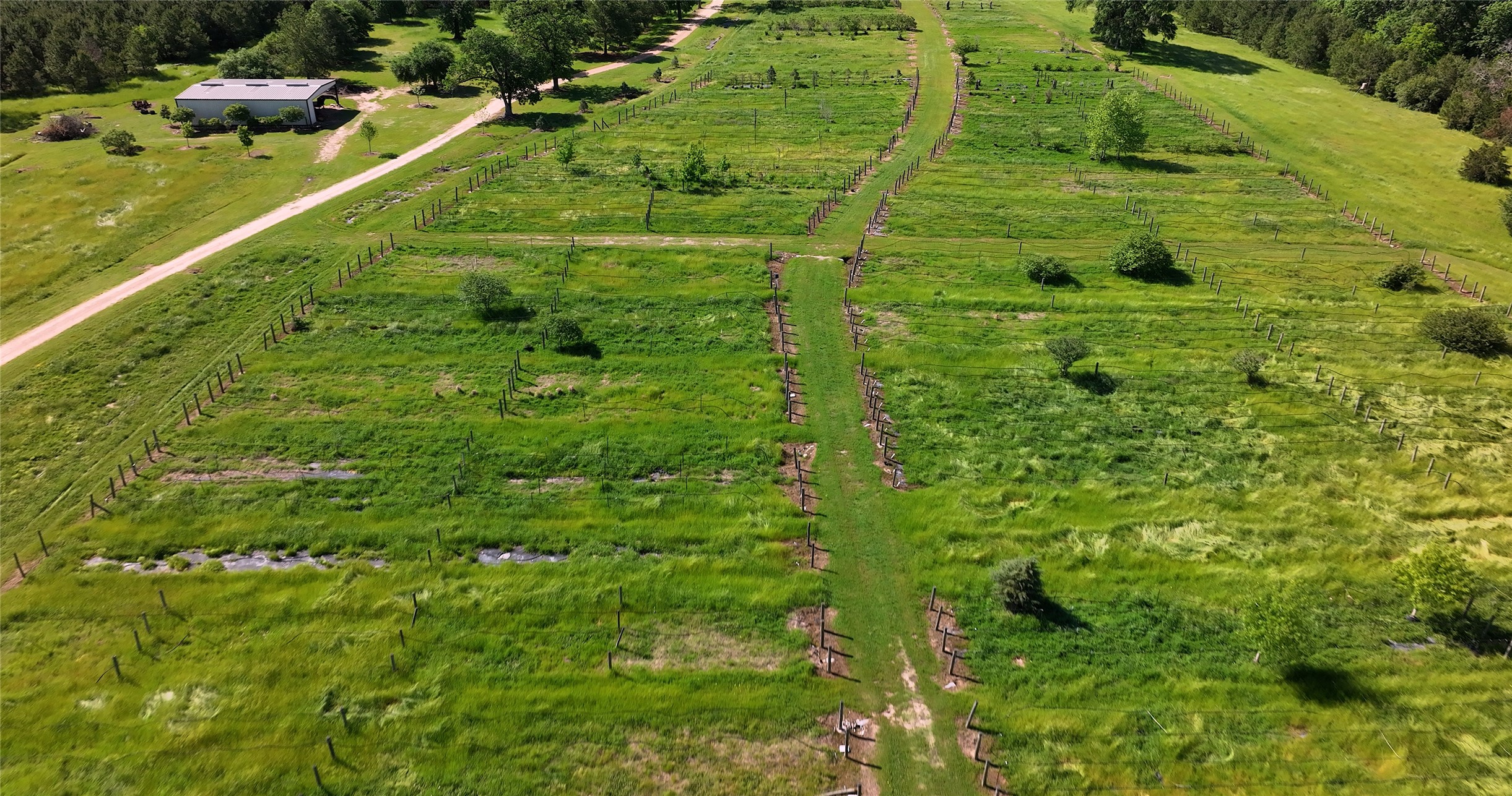 125 Sandy Creek Nursery Road Property Photo 40