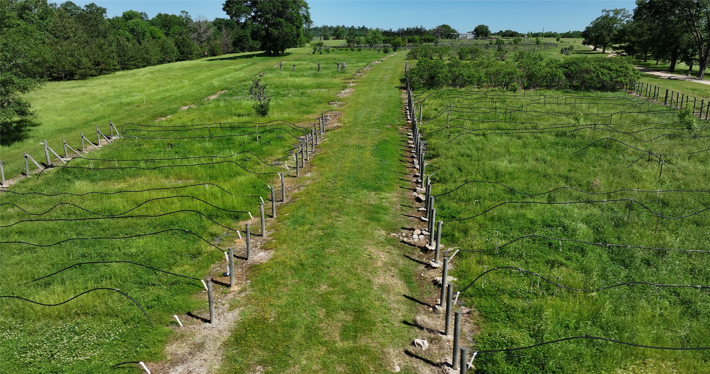 125 Sandy Creek Nursery Road Property Photo 41