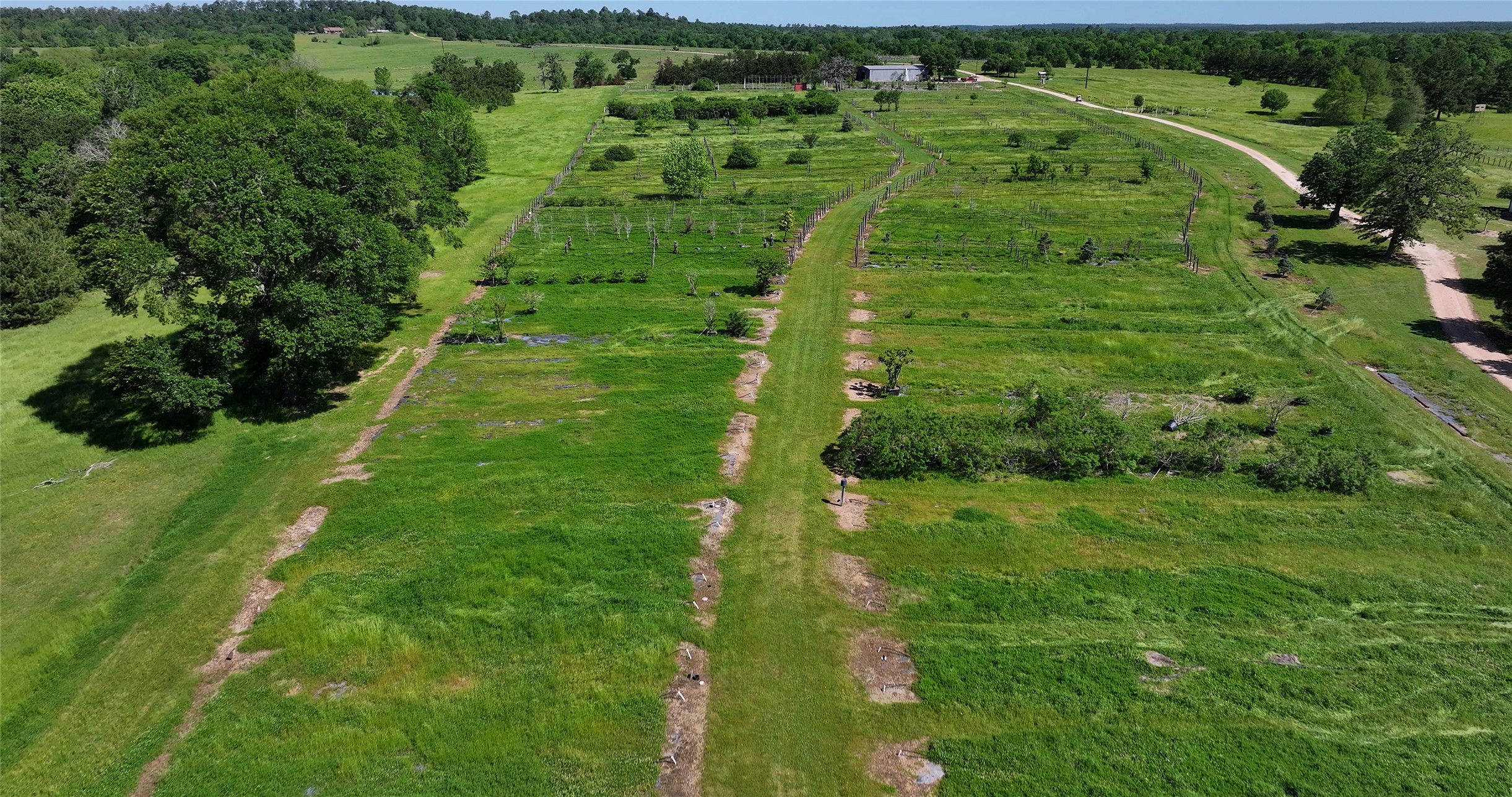 125 Sandy Creek Nursery Road Property Photo 42