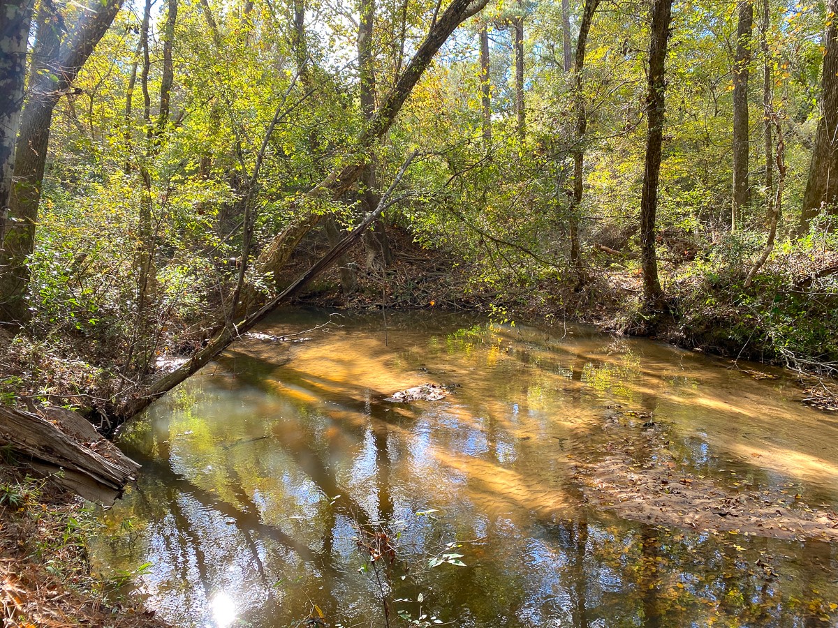 S1l3 Lake Pool Rd Property Photo 6