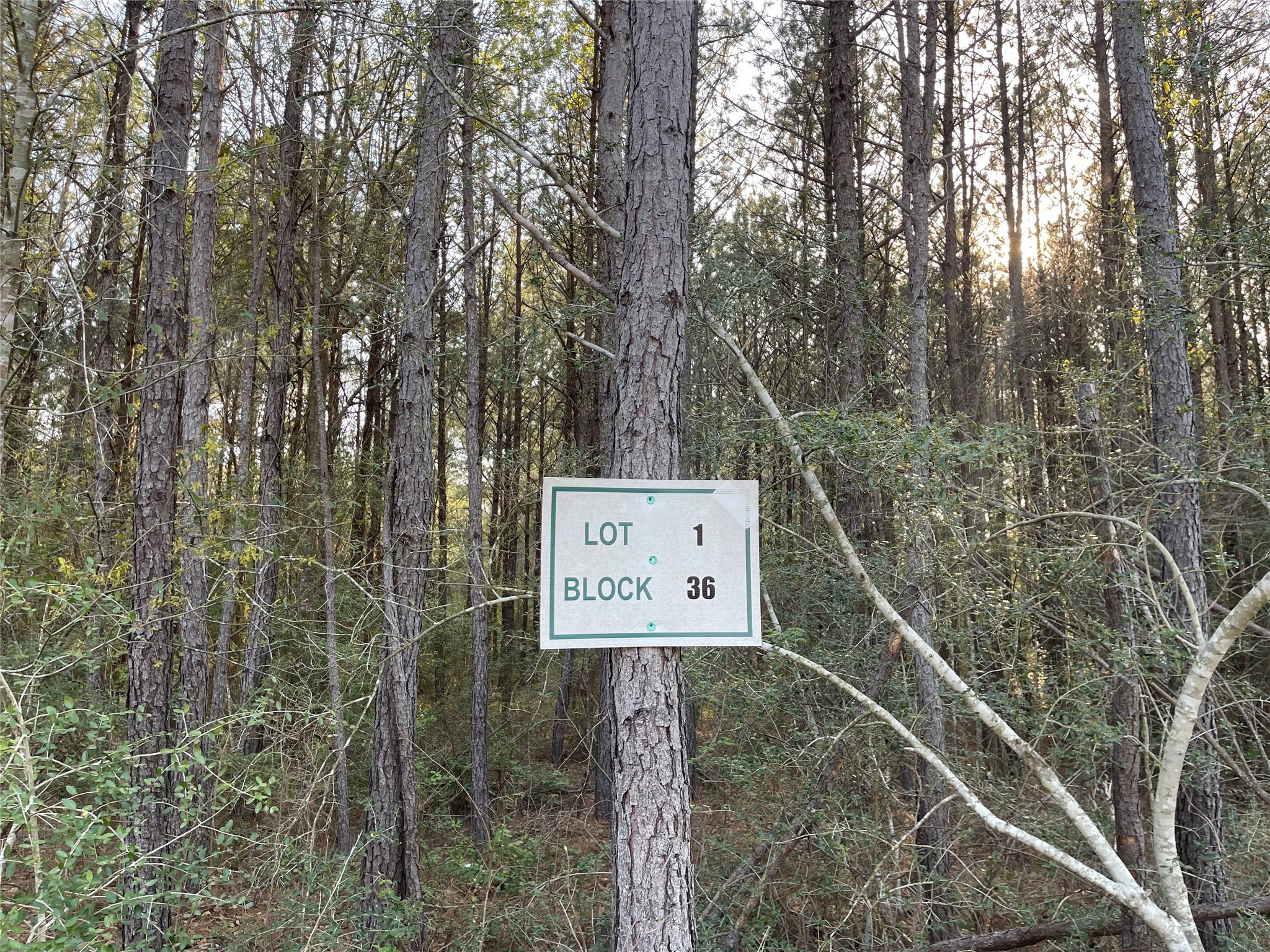 Lot 1-36-14 Larkspur Lane Property Photo 2