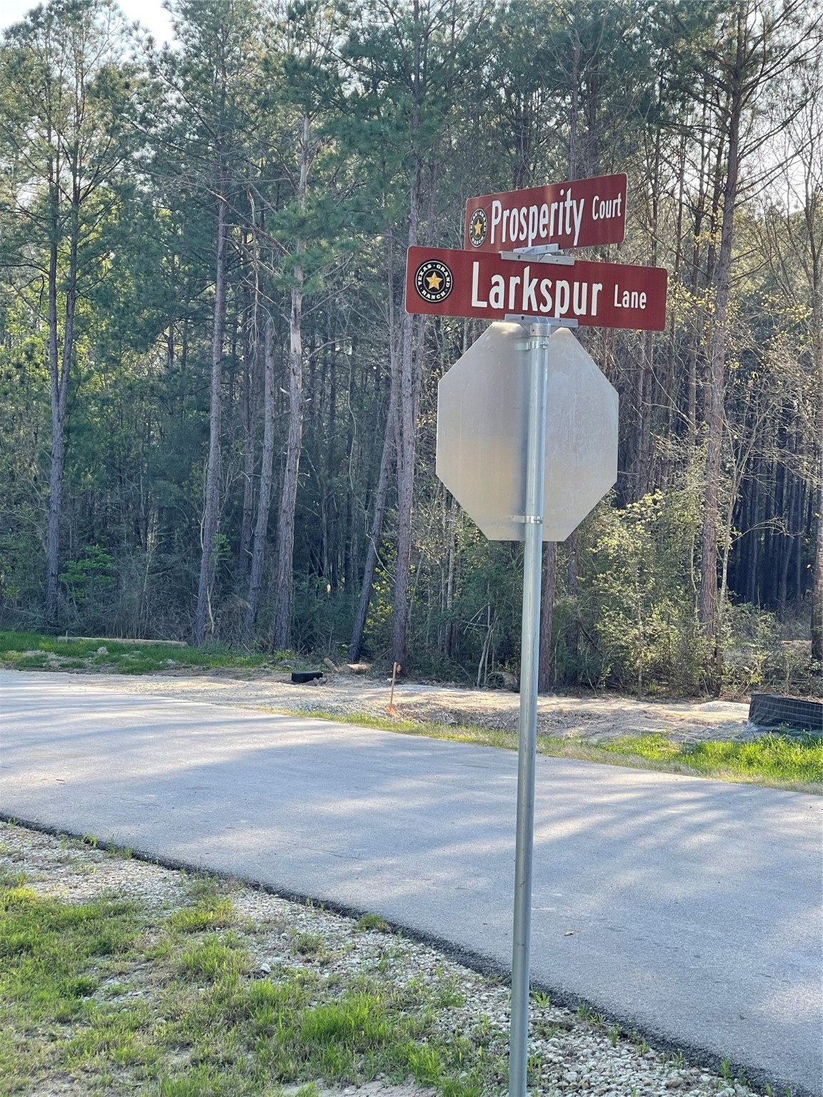 Lot 1-36-14 Larkspur Lane Property Photo 3