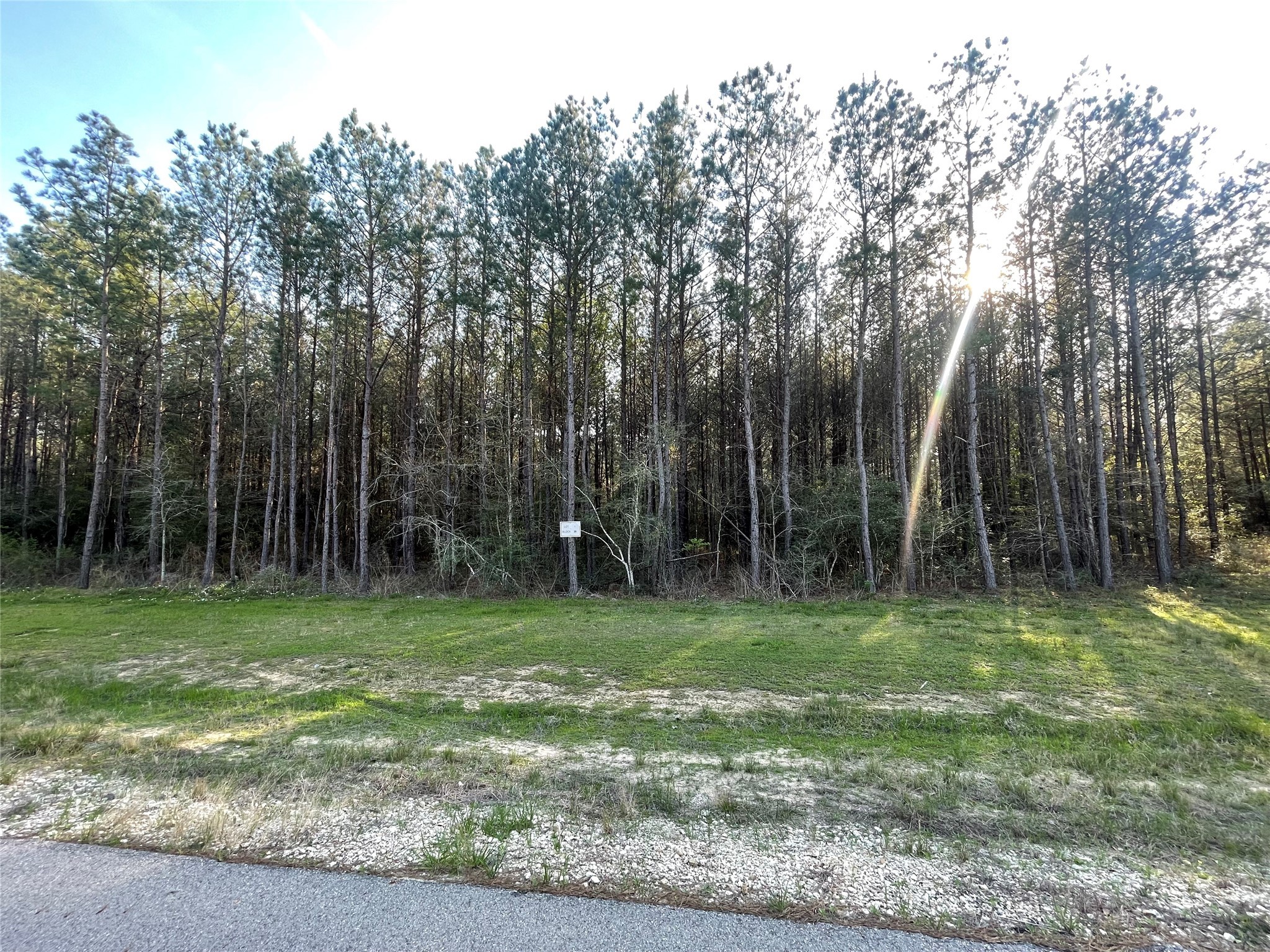 Lot 1-36-14 Larkspur Lane Property Photo 11