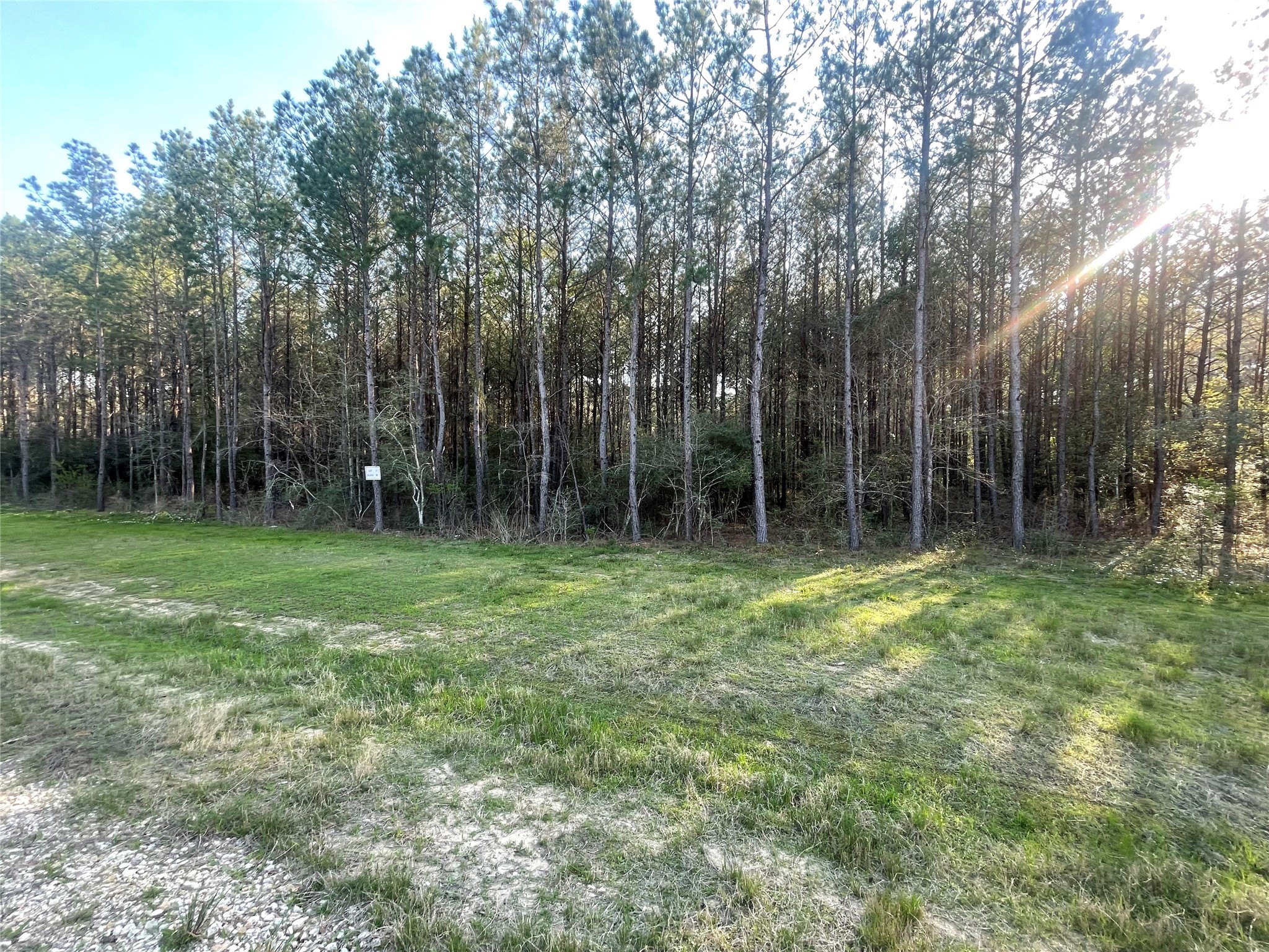Lot 1-36-14 Larkspur Lane Property Photo 12