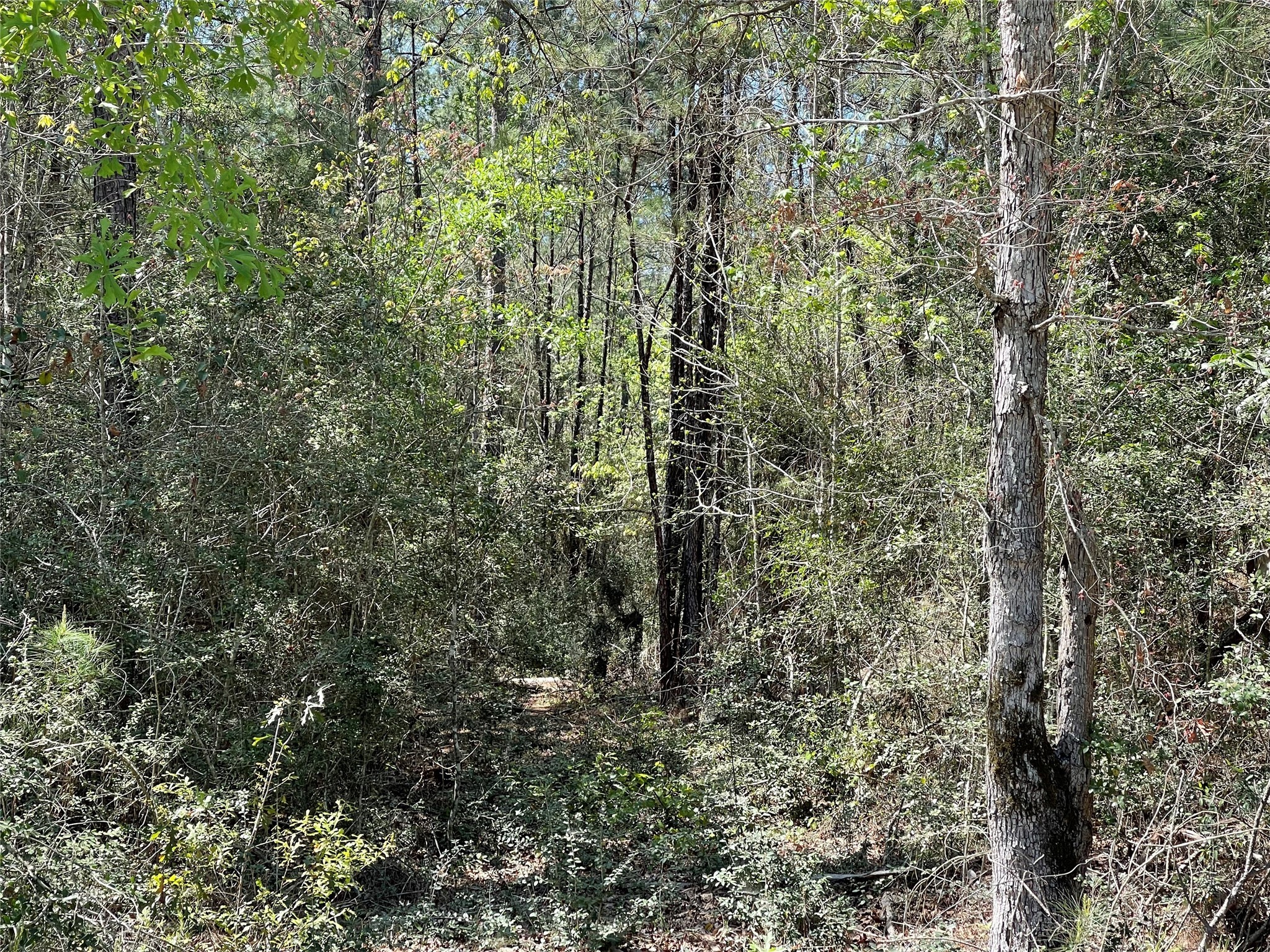 319 Exploration Road Property Photo 5