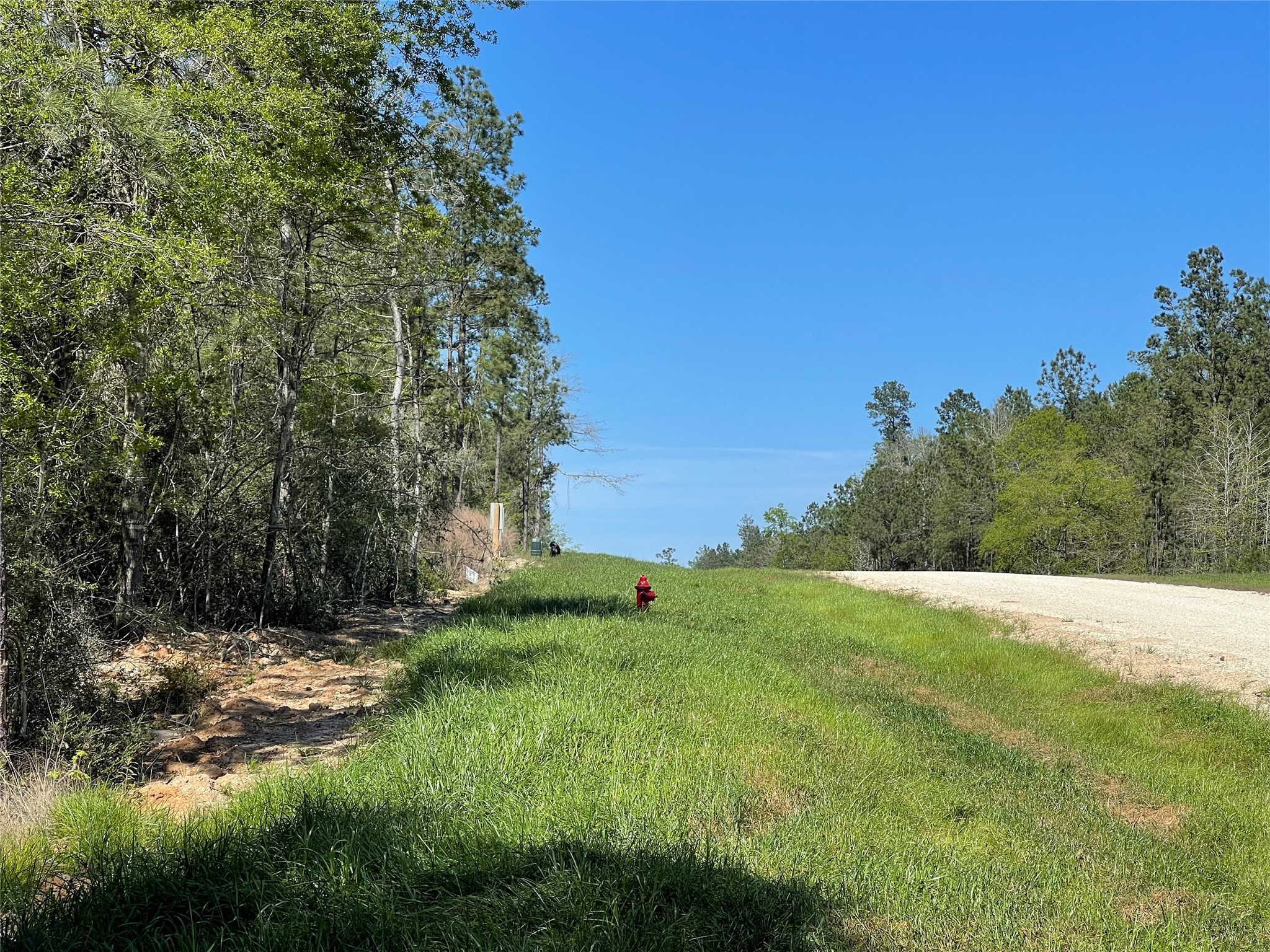 319 Exploration Road Property Photo 7