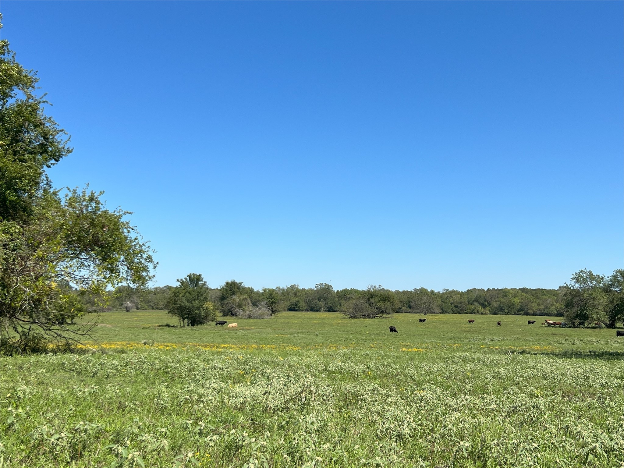 0000 Tbd Jackson Rd Property Photo 1