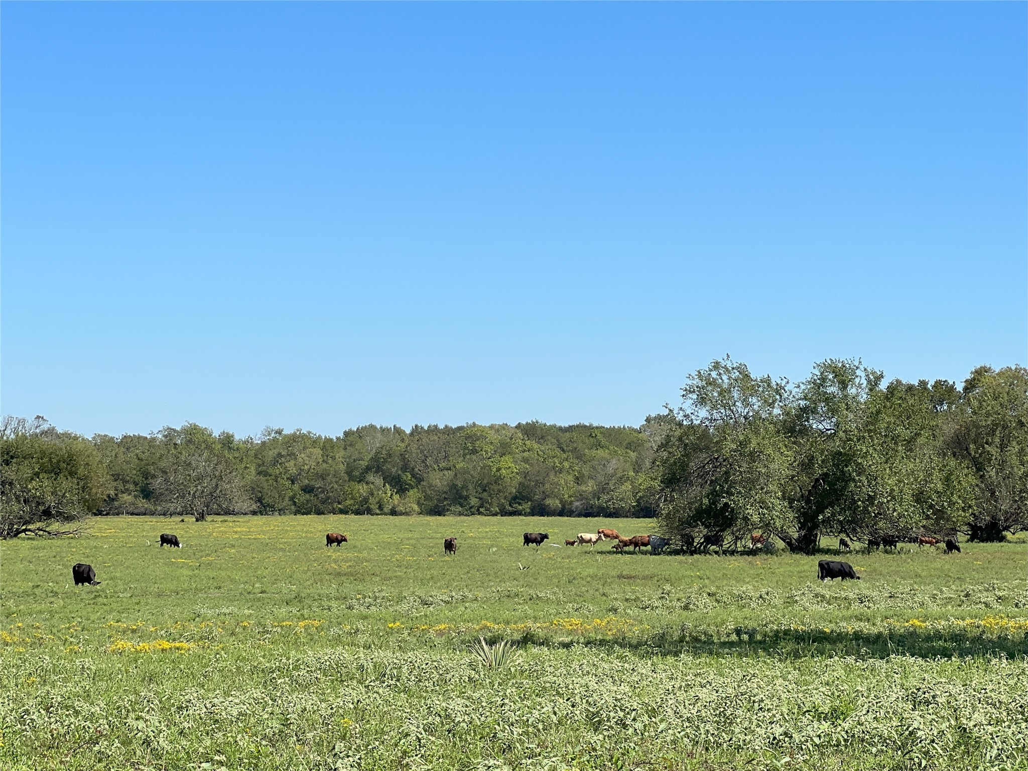 0000 Tbd Jackson Rd Property Photo 4